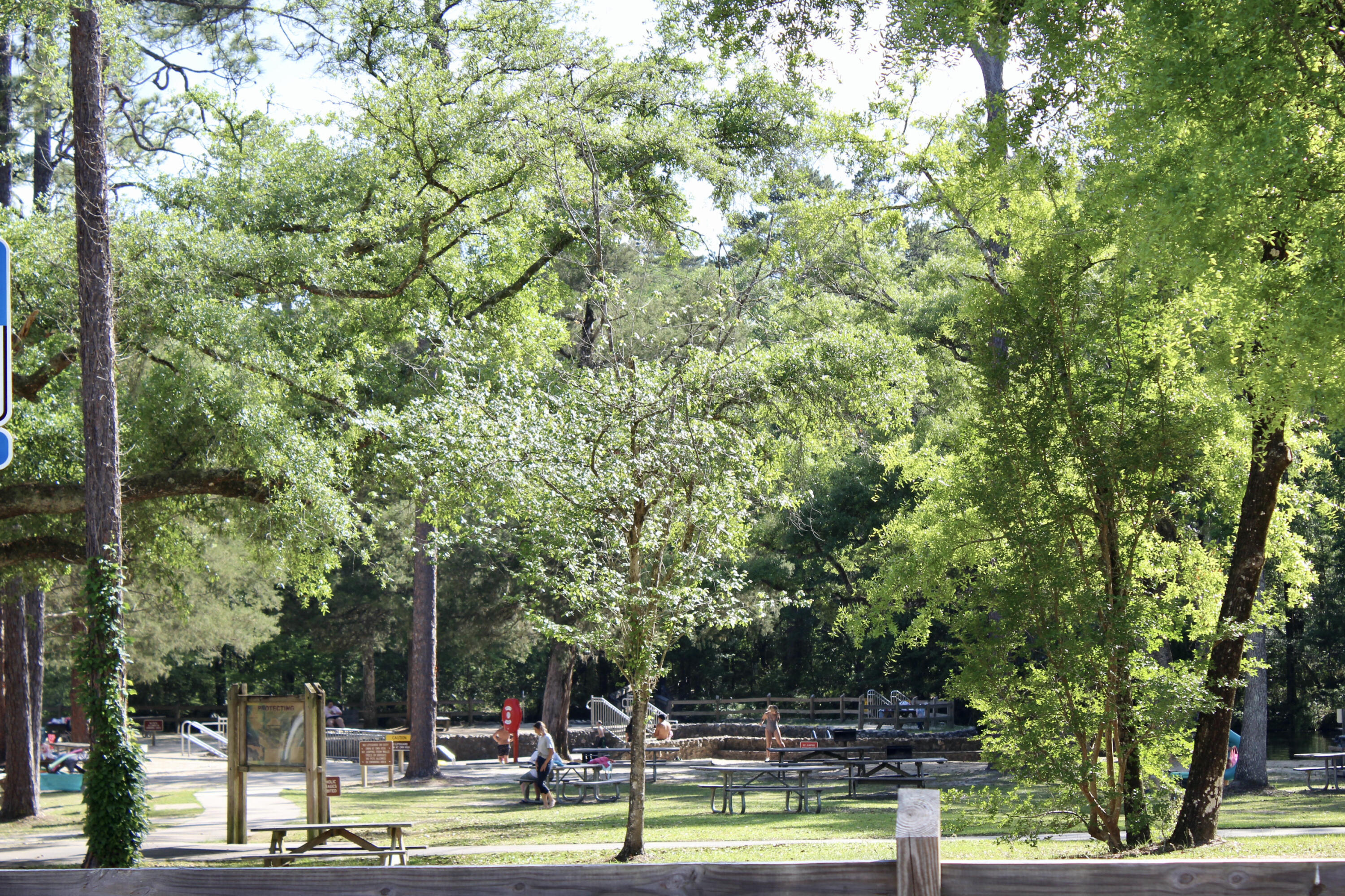 Ponce Deleon - Residential