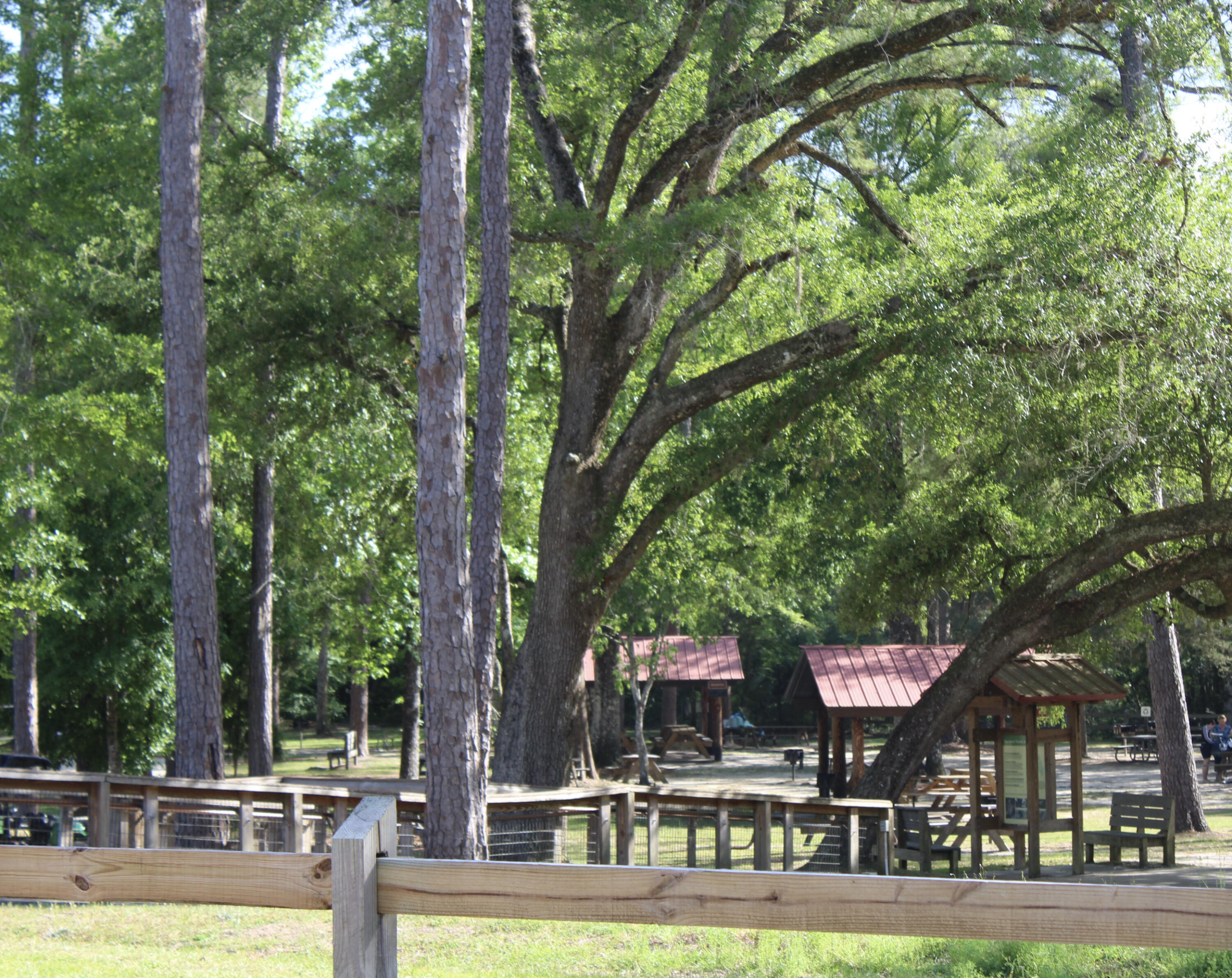 Ponce Deleon - Residential
