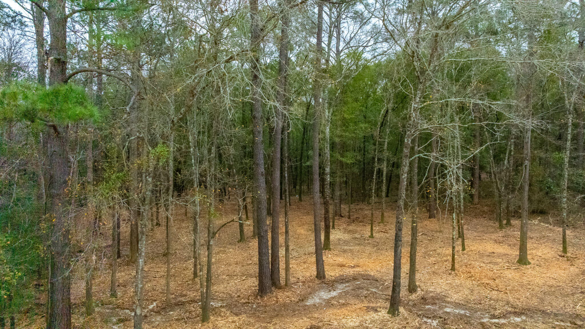 METES & BOUNDS - Land