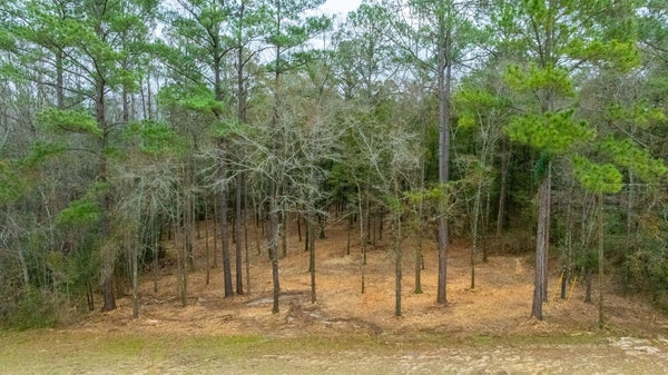 ADDRESS PRIVATE, LAUREL HILL, FL 32567 - Image a102e1b36f1f96889c6b3d4fb763fe65/631011271