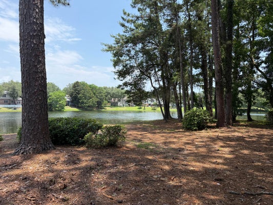 207 SOUTHLAKE CT # 207, NICEVILLE, FL 32578 - Image a10c43fd9bcb03effd277c99a37fa64b/1935393147