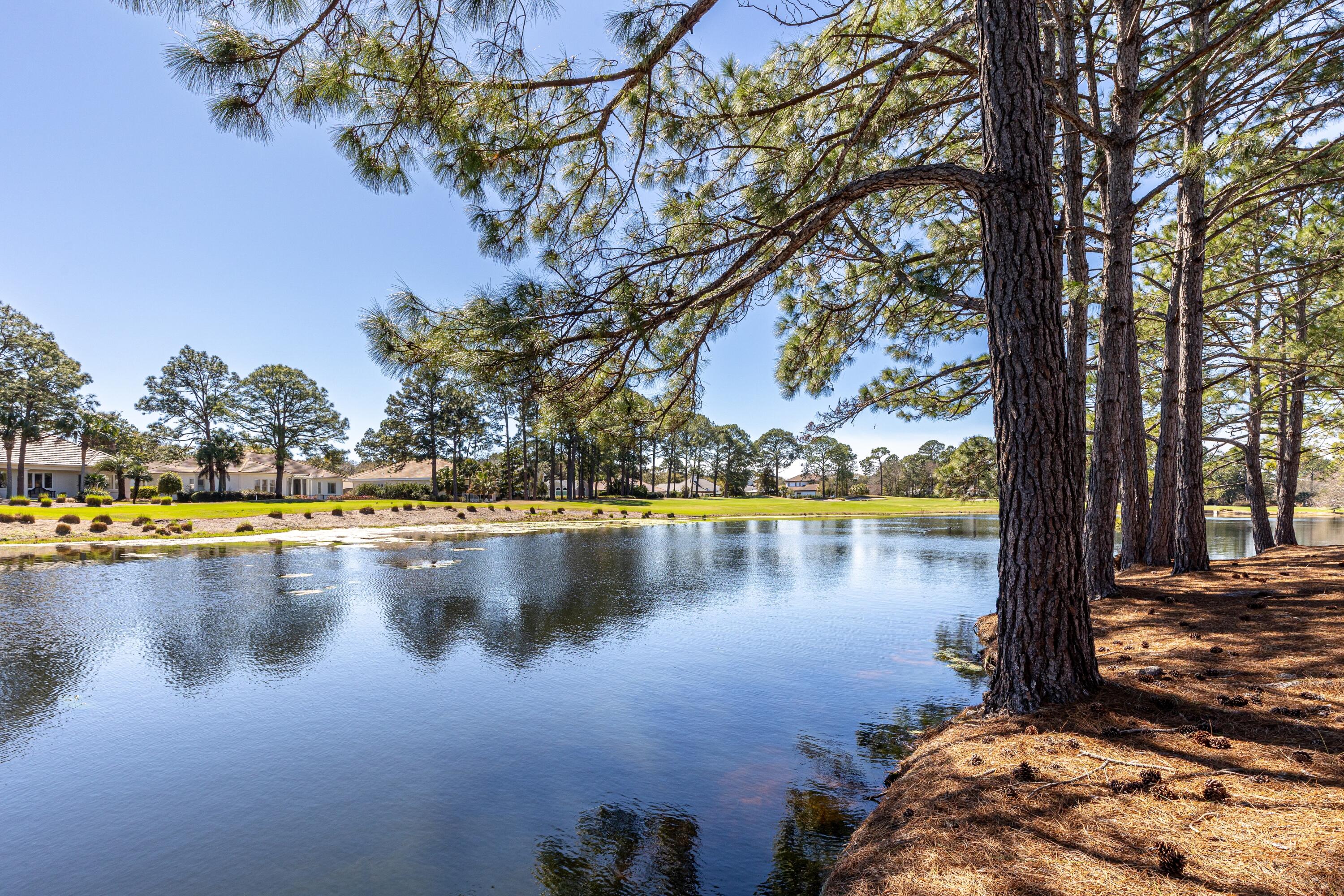 LAUREL GROVE - Residential