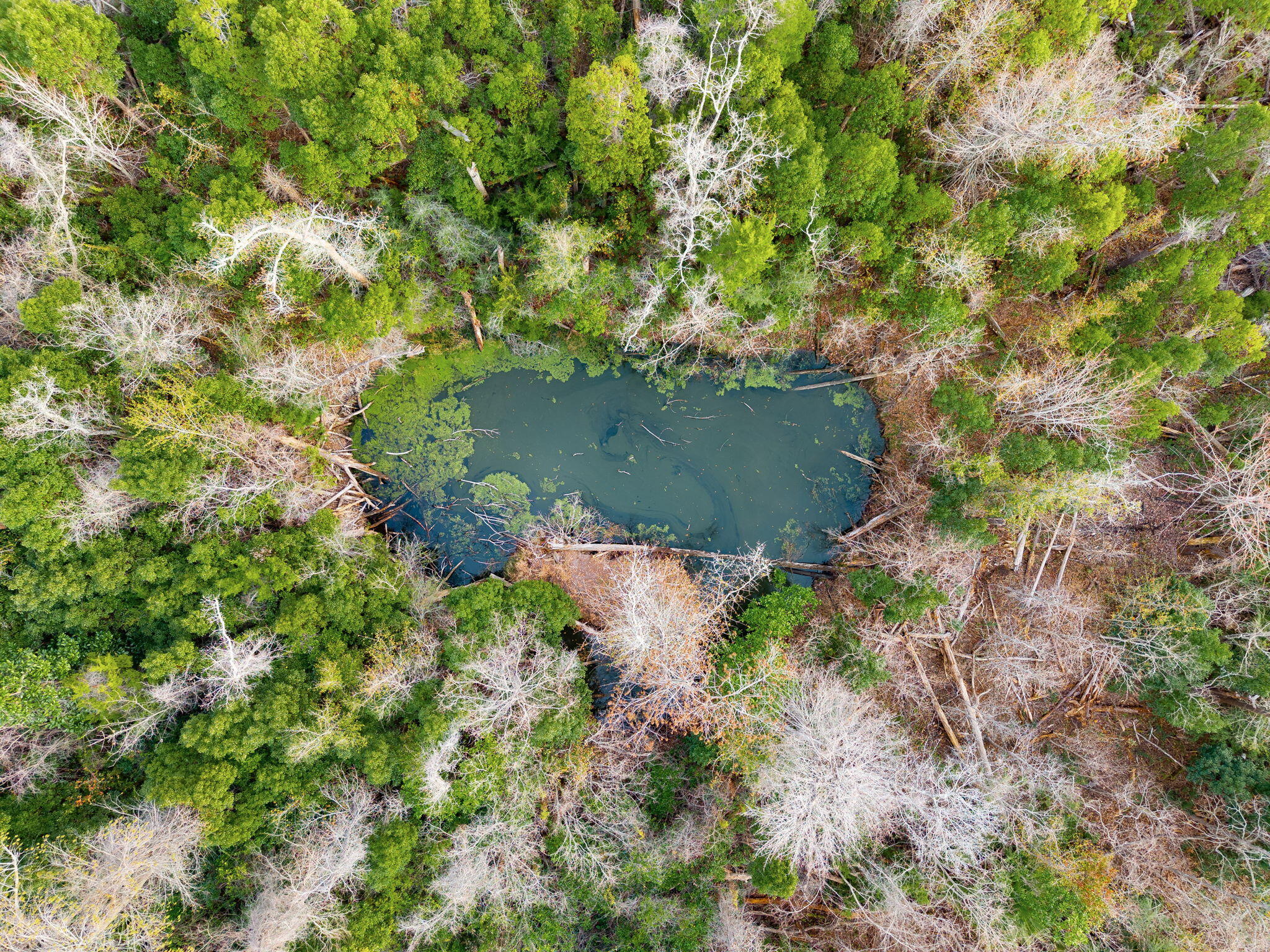 Callaway - Residential