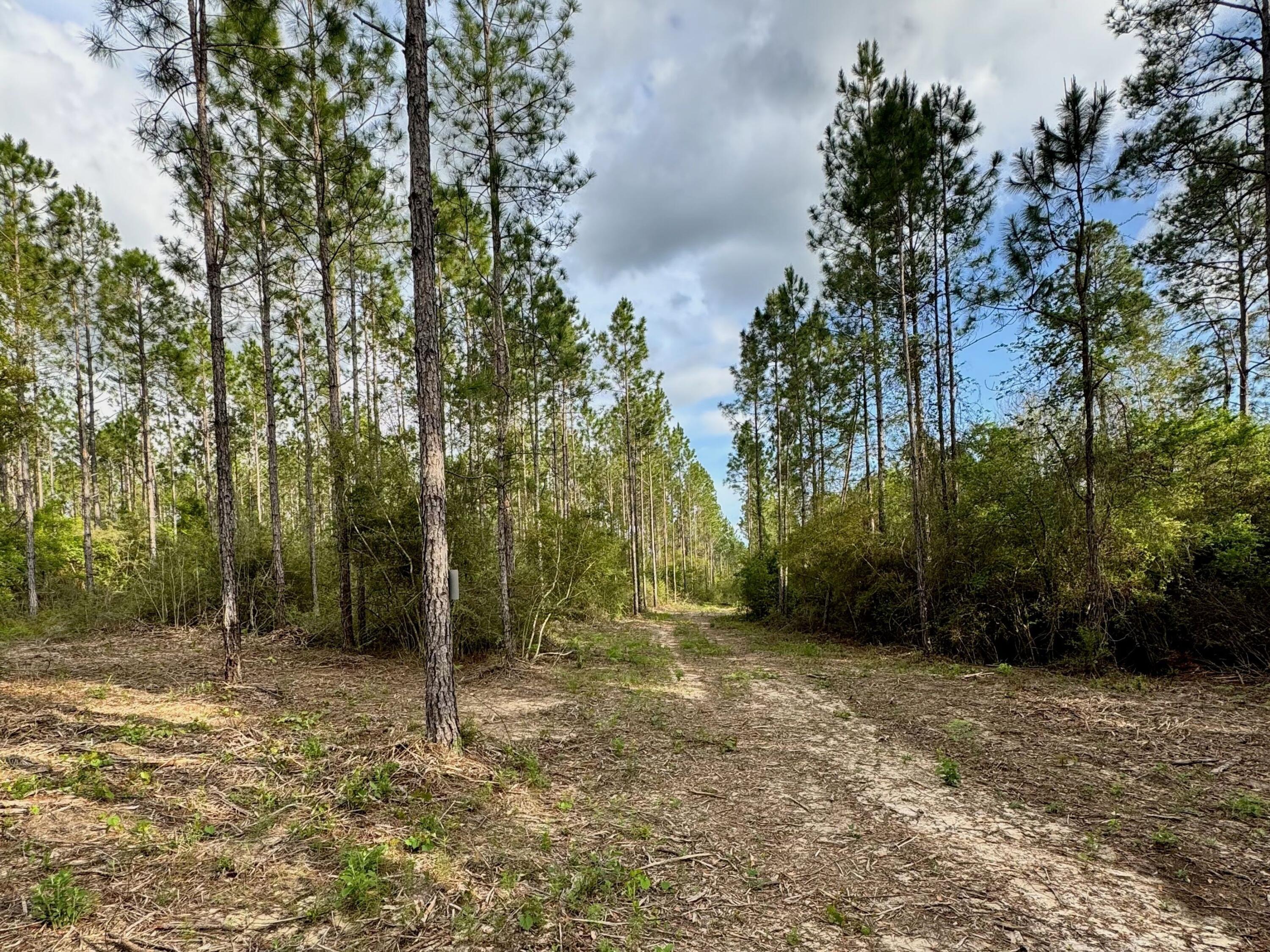 Pleasant Hill Woods - Land