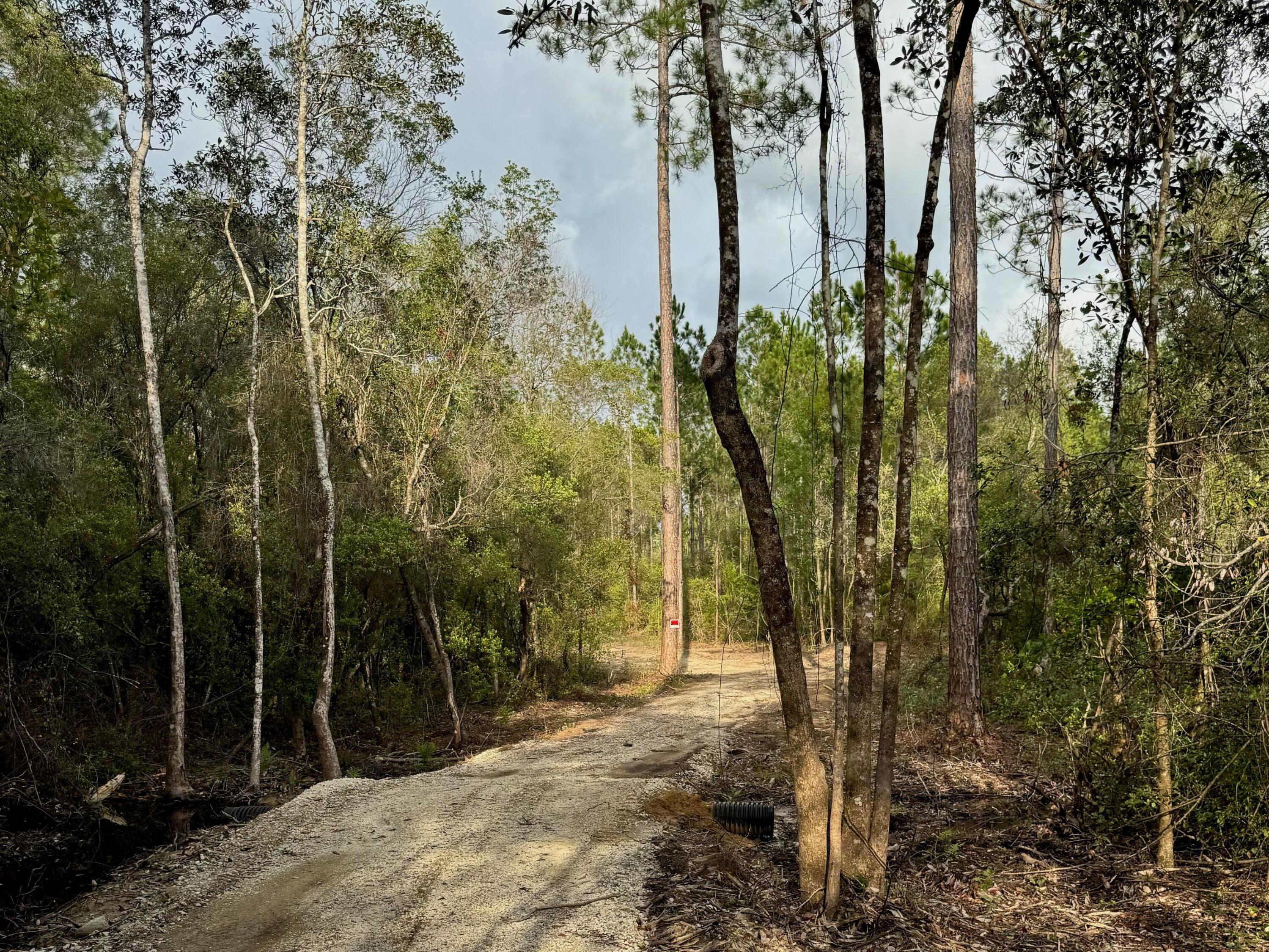 Pleasant Hill Woods - Land