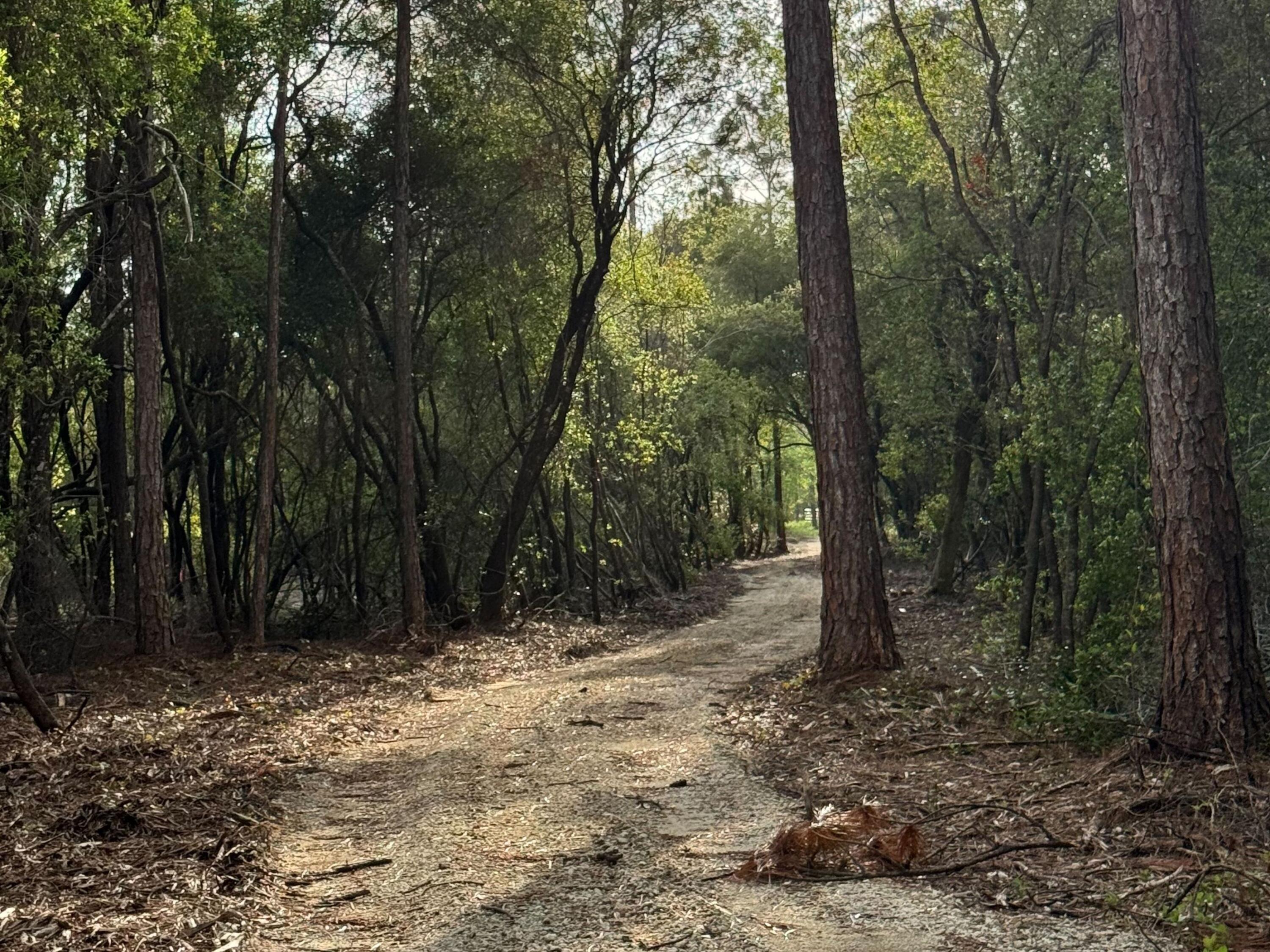 Pleasant Hill Woods - Land