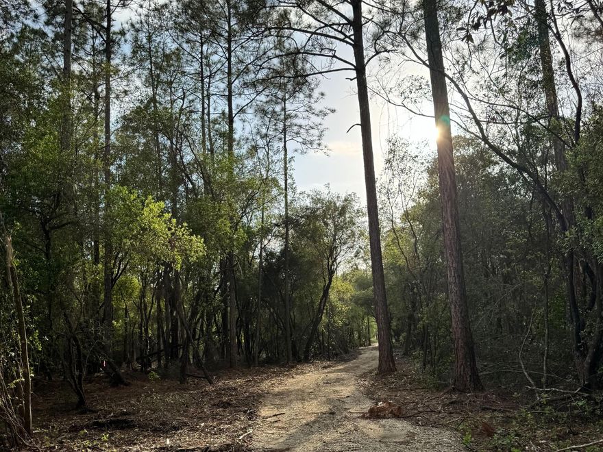 Tucked away in Pleasant Hill Woods, a quiet, emerging community of estate-sized parcels, Lot 9 offers nearly 15 acres of peaceful Northwest Florida landscape with the rare addition of a natural creek running through the property. Partially cleared with a driveway base already in place, the groundwork has been thoughtfully started, allowing you to begin shaping your vision right away.

Surrounded by similarly sized homesites and free from HOA restrictions, this property strikes a balance between privacy and long-term potential. With convenient access south via Highway 79, the beaches of the Emerald Coast are within reach in about an hour. Whether you're envisioning a private homestead, recreational retreat, or future investment, this is an opportunity to secure land in an up-and-coming area while it's still under the radar.