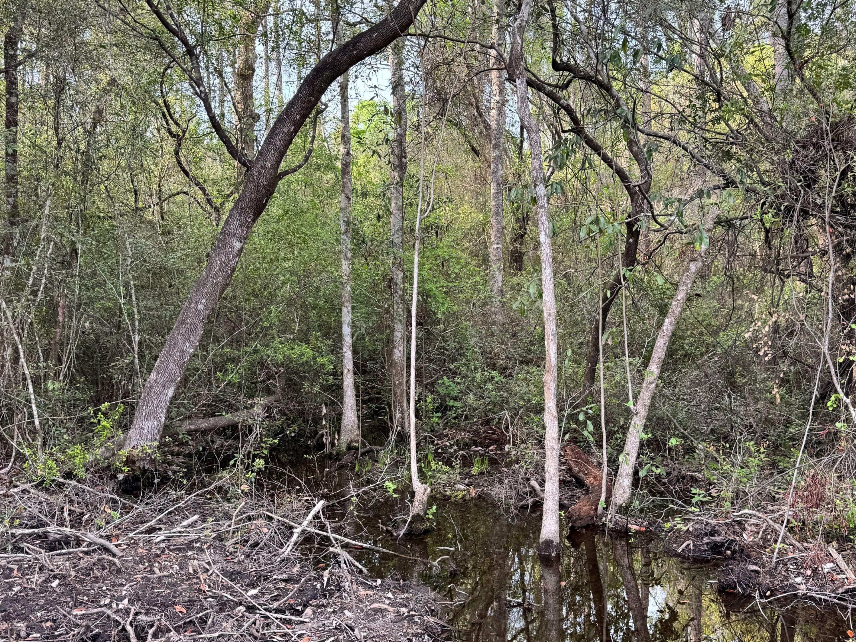 Pleasant Hill Woods - Land