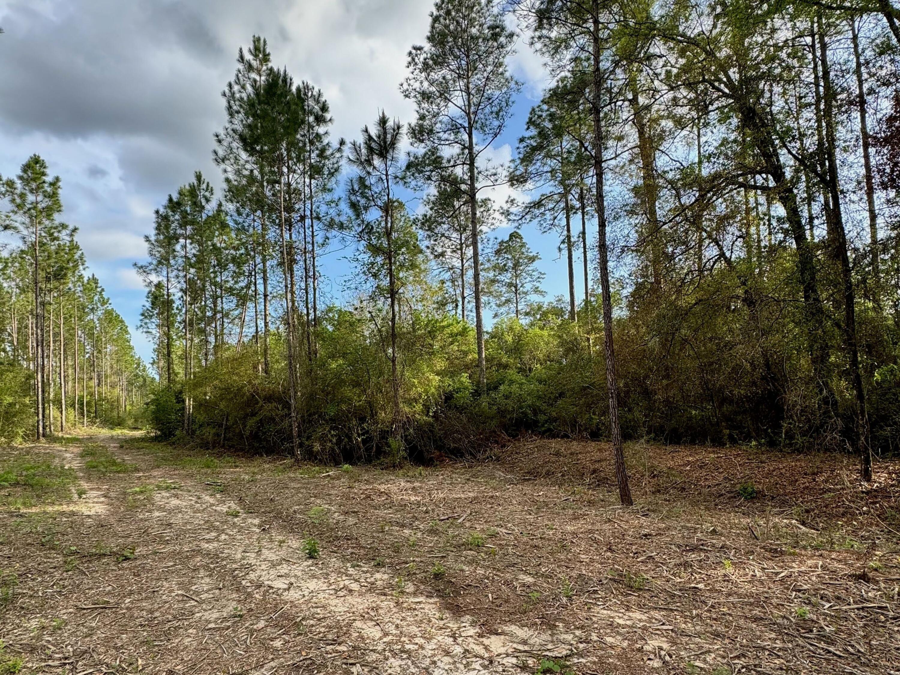 Pleasant Hill Woods - Land