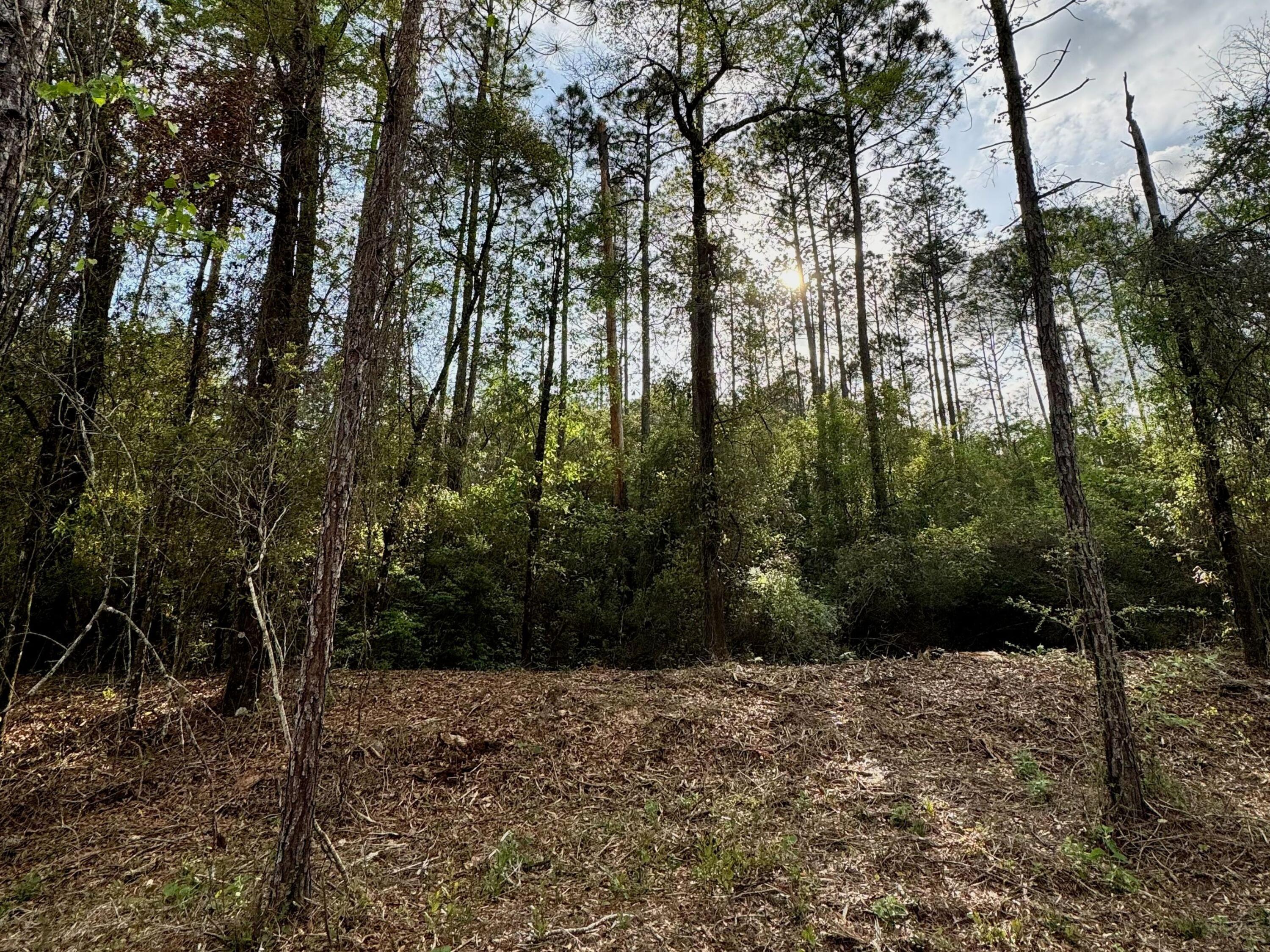 Pleasant Hill Woods - Land