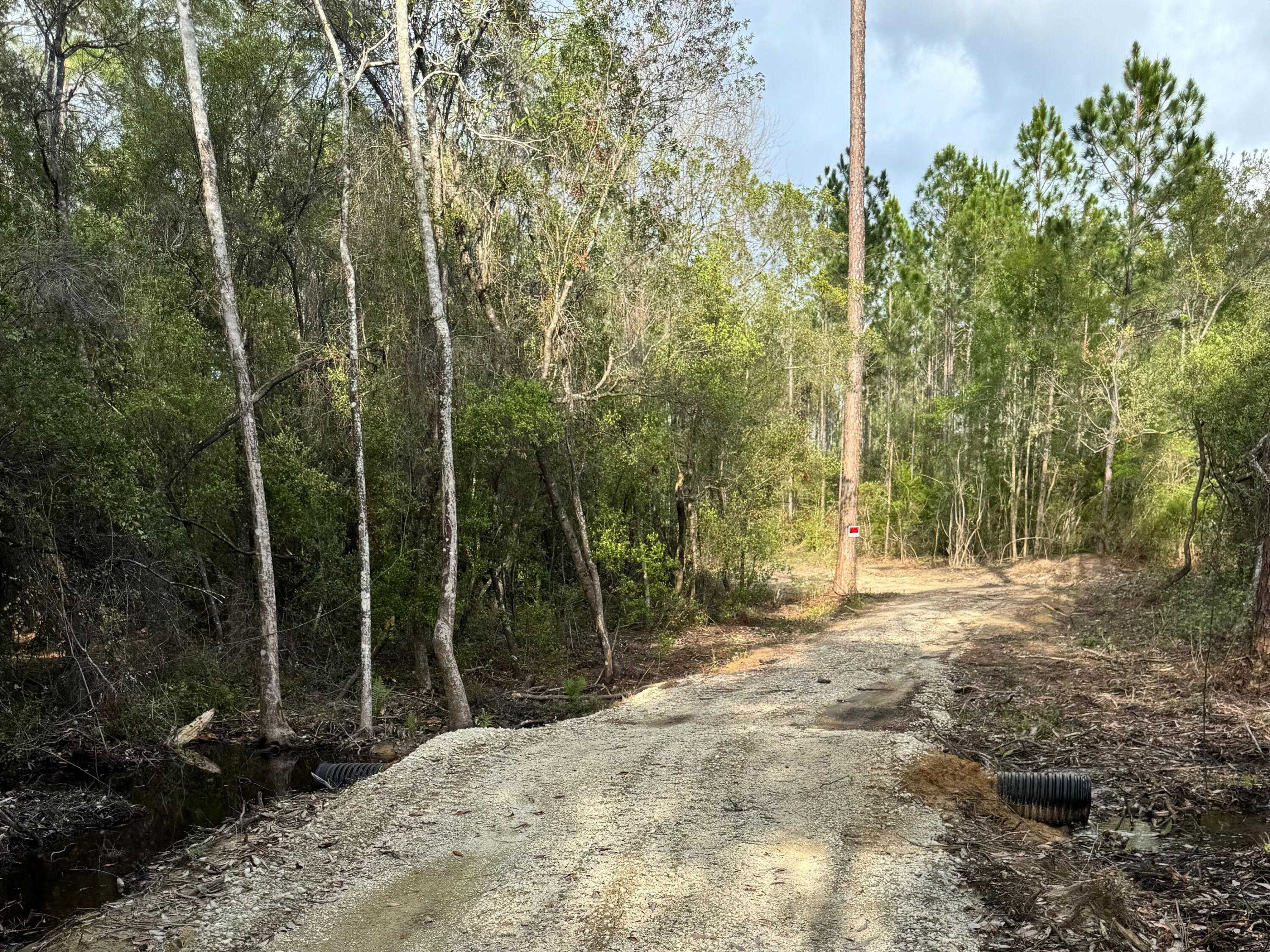 Pleasant Hill Woods - Land