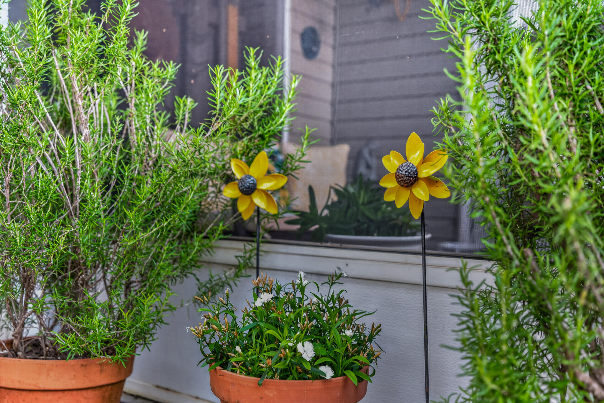 MAGNOLIA PARK - Residential