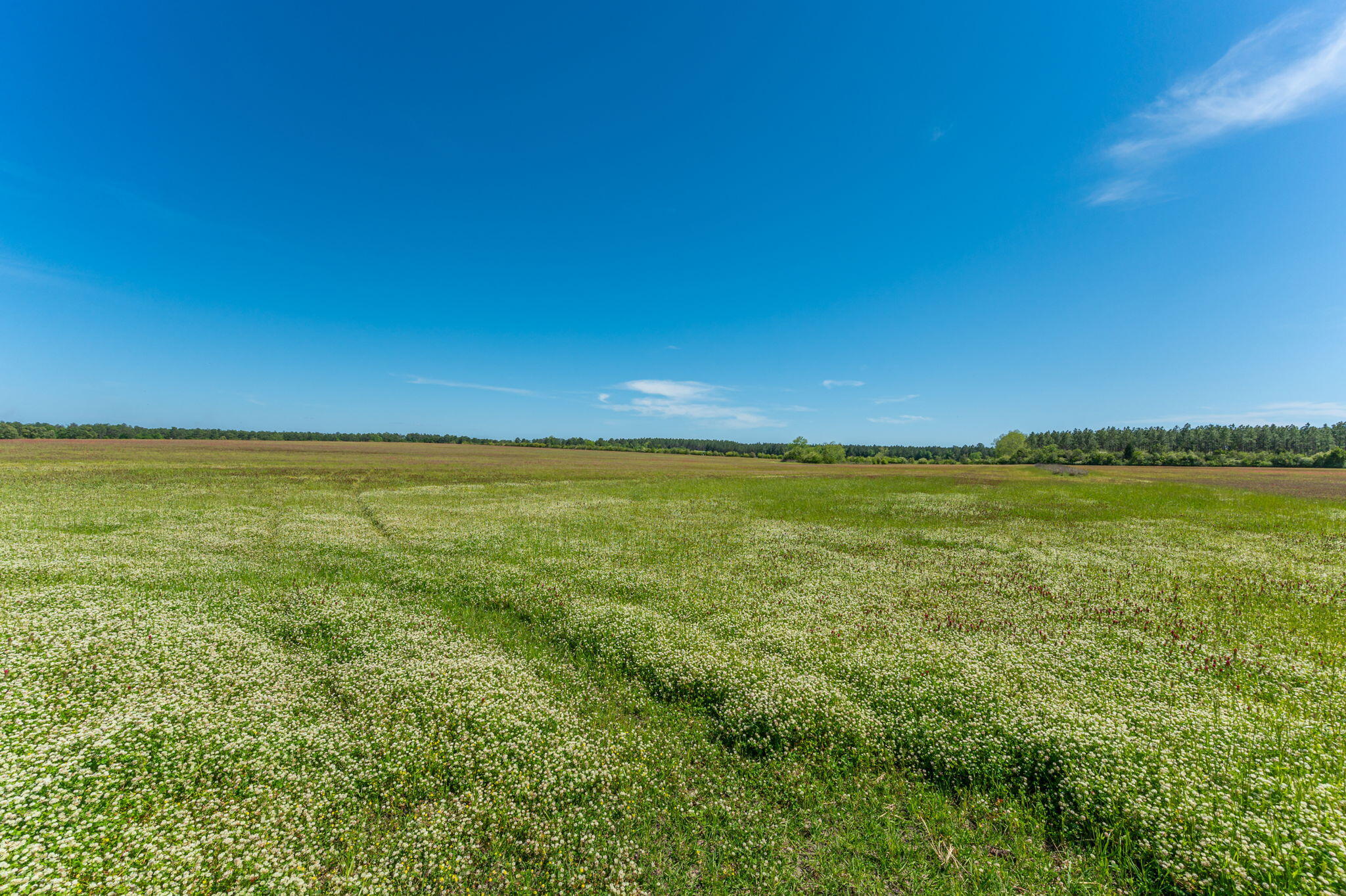 METES & BOUNDS - Land