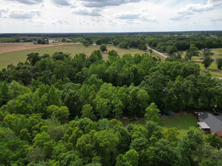 Build two homes and maximize returns, or keep the full acreage for a private estate with room to breathe. This is an opportunity to acquire 4.8992 acres of vacant land in Molino, Florida, zoned RMU and primed for development. Whether you're a builder, investor, or end-user, this parcel delivers exceptional flexibility and value. The seller has done the heavy lifting: a complete document package conveys with the sale, including a wetland study, soil and septic analysis confirming favorable conditions for a subsurface septic system, a survey of the full 4.8992-acre parcel, and a proposed 2-lot split survey. The groundwork is laid; you're stepping in at the finish line. Currently configured at 330 x 665 feet, the property is positioned to divide into two buildable 165 x 655-foot lots -- each
 offering generous dimensions ideal for custom home construction.
Septic needed . Seller has wetland study, soil septic analysis which shows soil is favorable for subsurface septic system, a survey for the entire 4.8992 acres and a survey for a proposed 2 lot split.