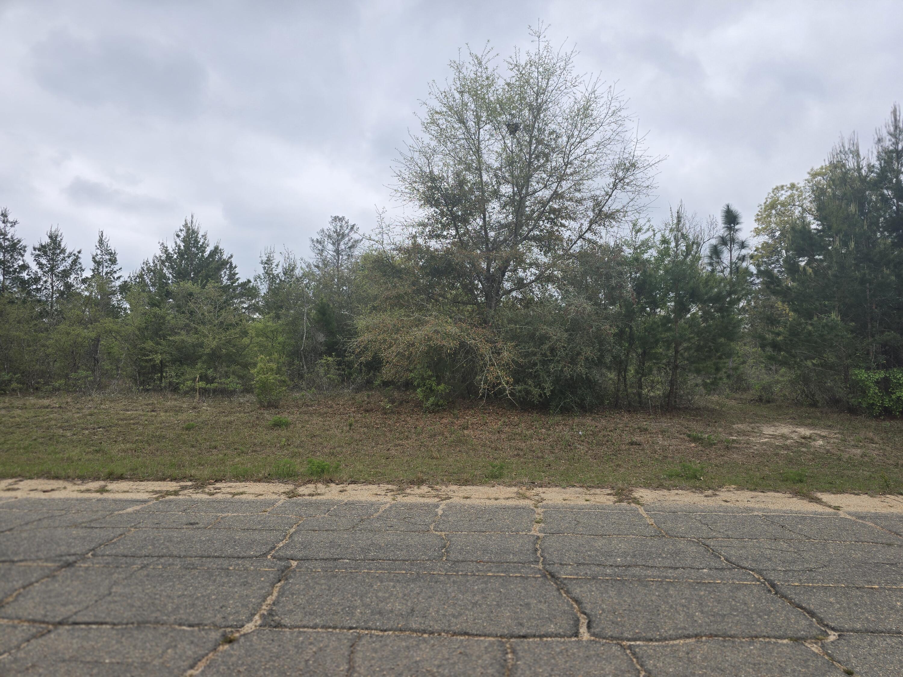 SUNNY HILLS SD - Land