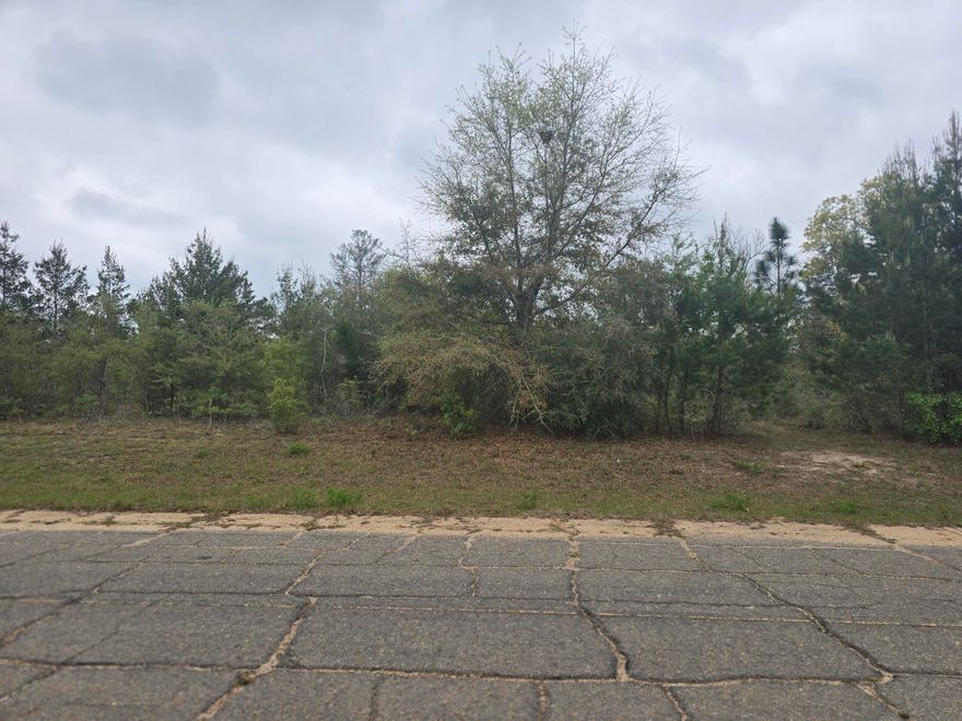 Perfect Home Site - Lot in the Sunny Hills Community, an established subdivision with over 20K lots currently being developed with several national builders. Subdivision offers an 18-hole golf course with clubhouse, numerous lakes with white sandy beaches for recreational activities such as swimming, boating, fishing, and best of all, NO HOA! Sunny Hills is located in Washington County between Panama City Beach and Chipley within the Vernon school district.  Adjacent lot available for purchase too, individually or in a package.