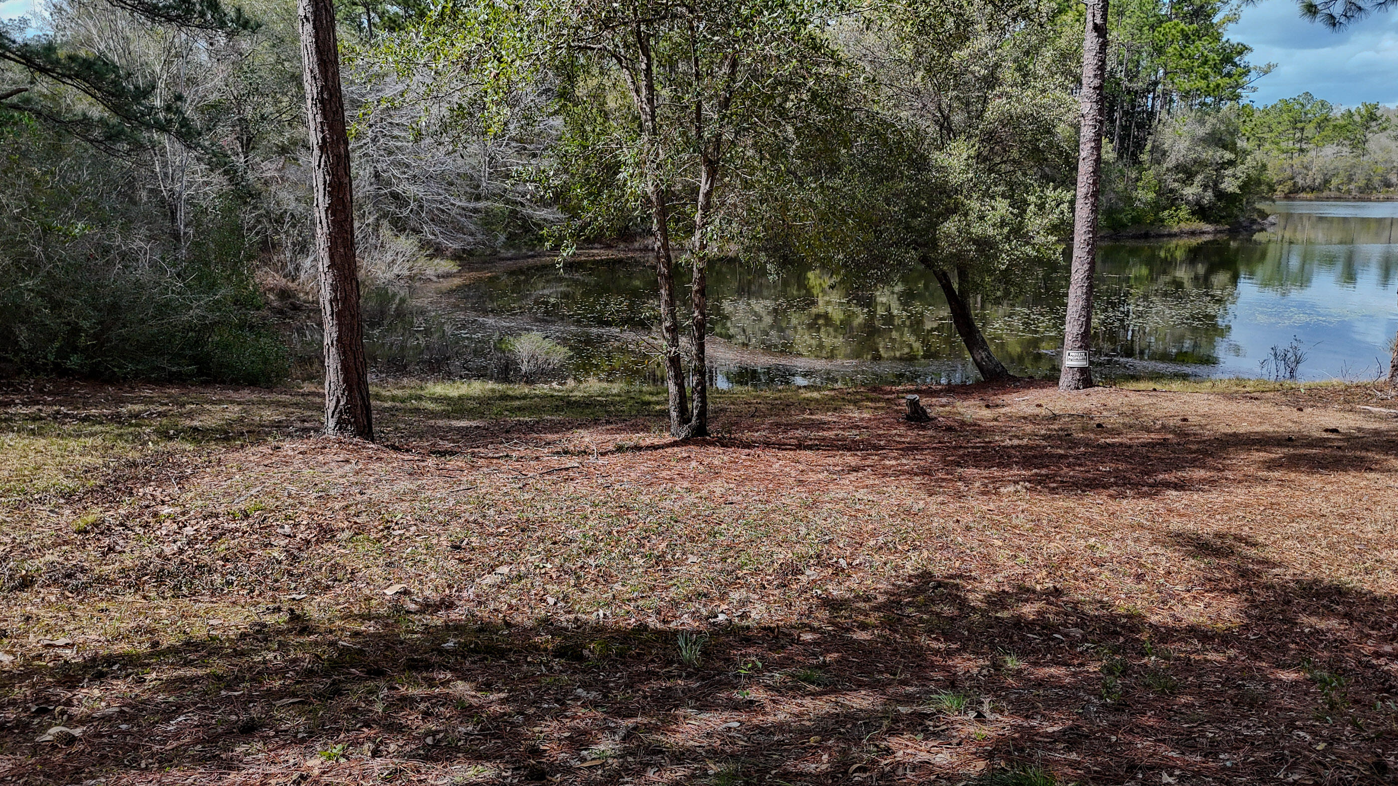 MAGNOLIA LAKE ESTATES PH 1 - Land