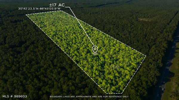 17 ACRES LYONS PLACE, HOLT, FL 32564 - Image abc9f91aad00a88c1d6af89f2f679897/2501315614