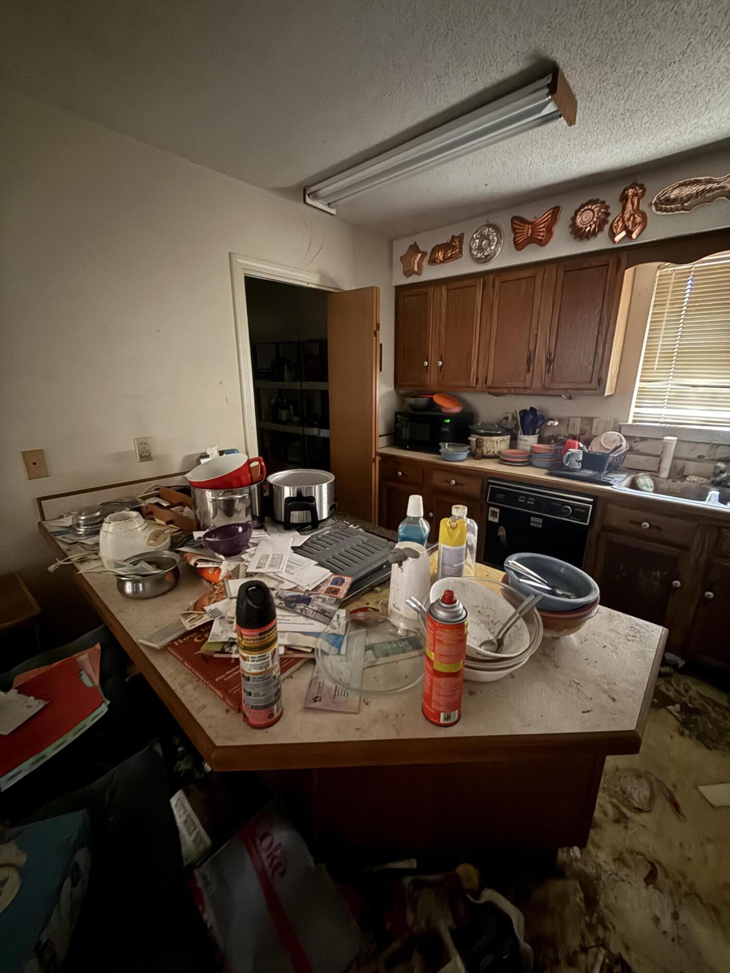 BRITTANY WOODS S/D - Residential