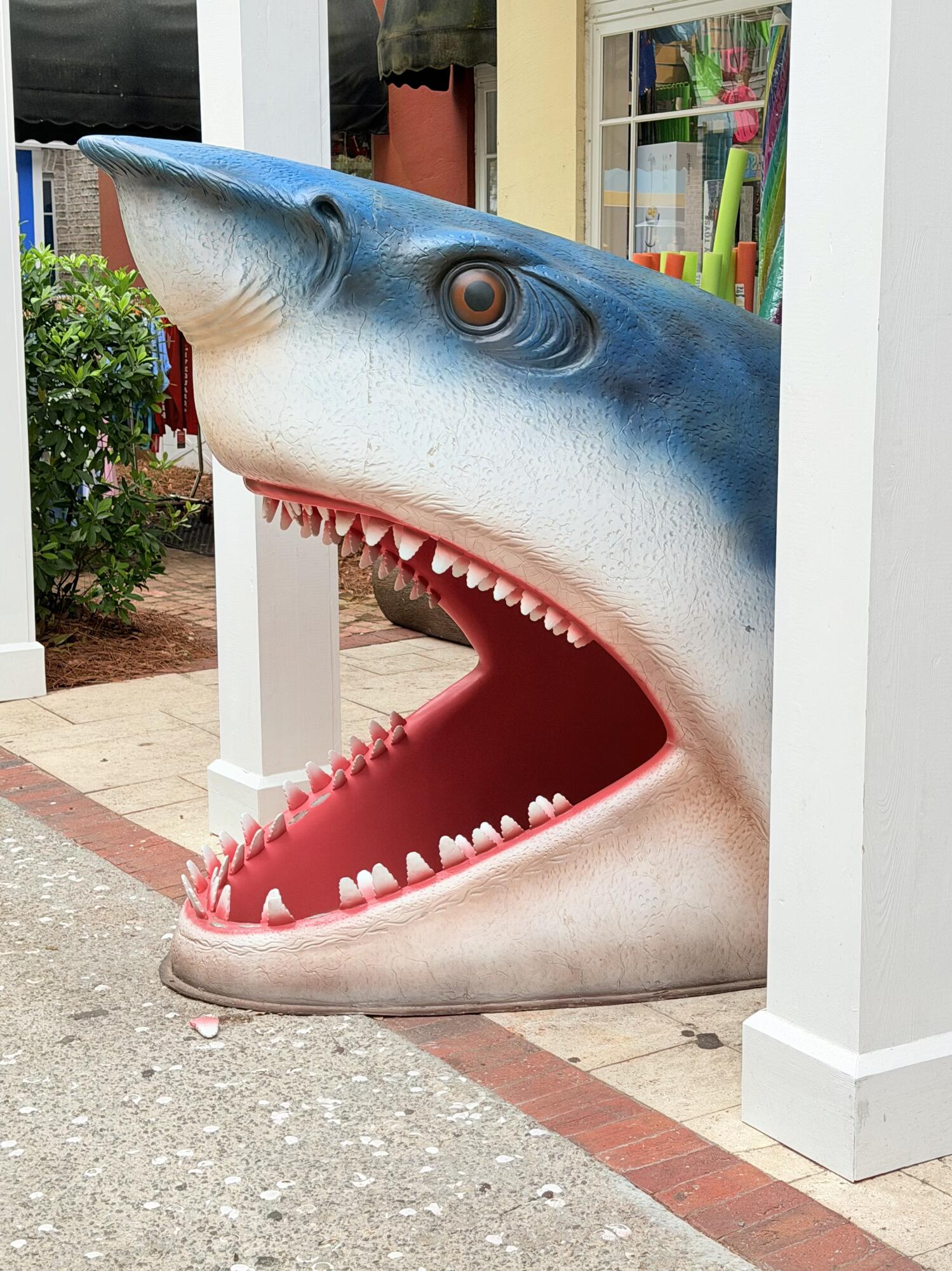 ELATION - Residential