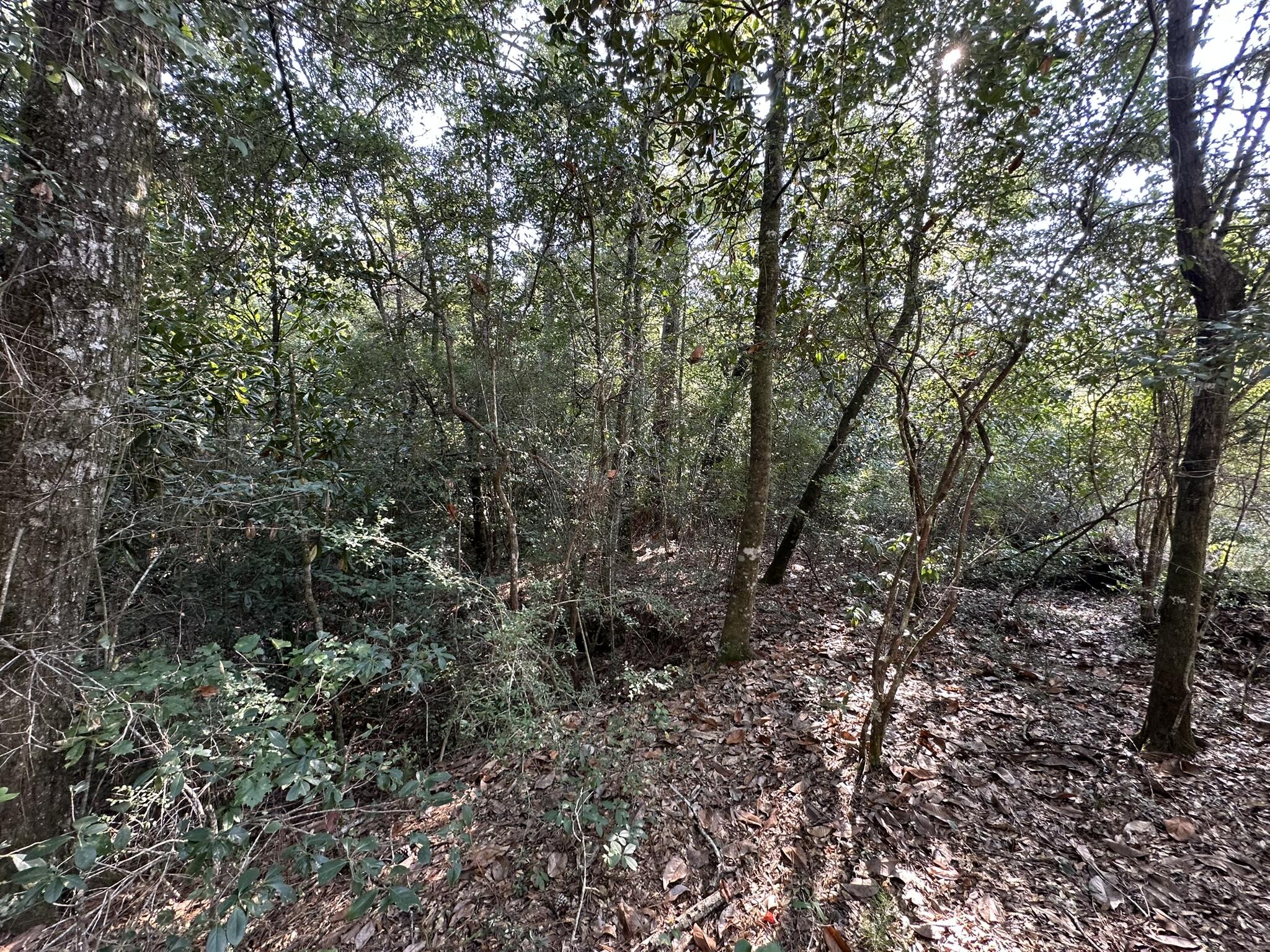 METES & BOUNDS - Land