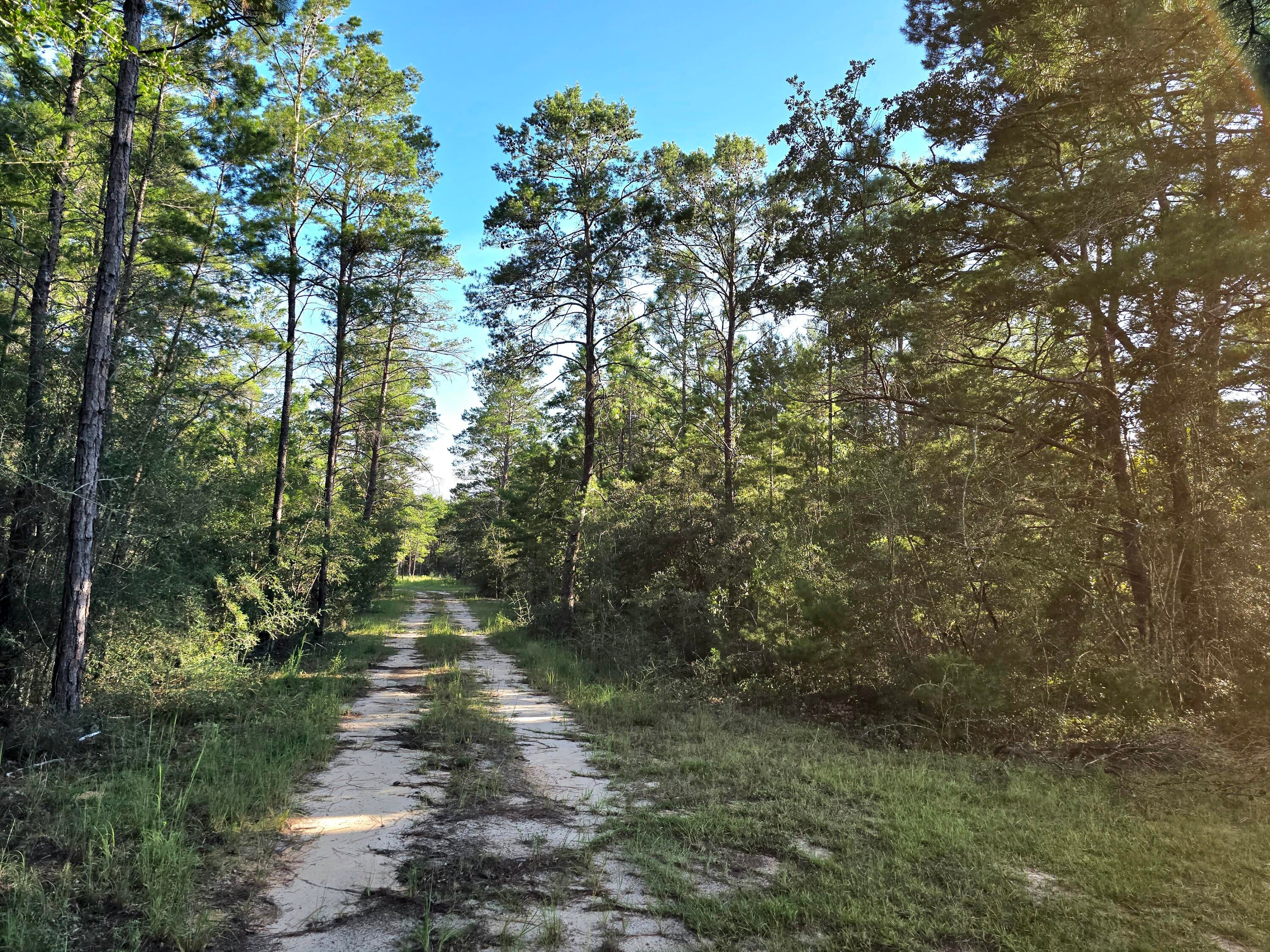 TBD Randi Road