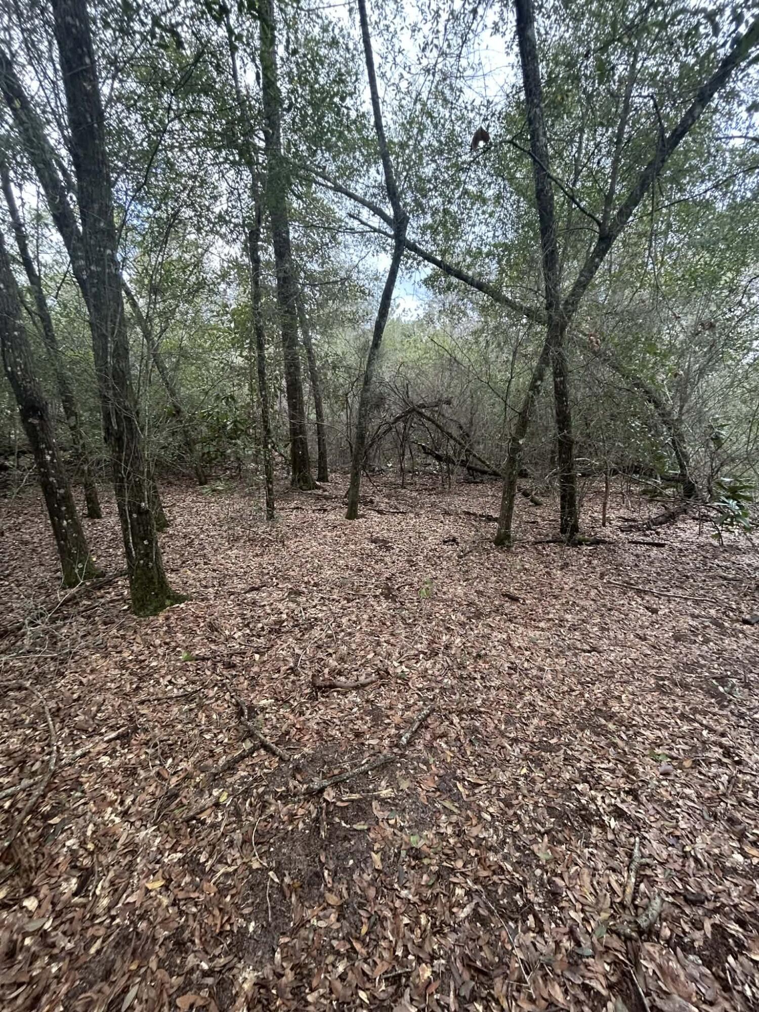 METES & BOUNDS - Land