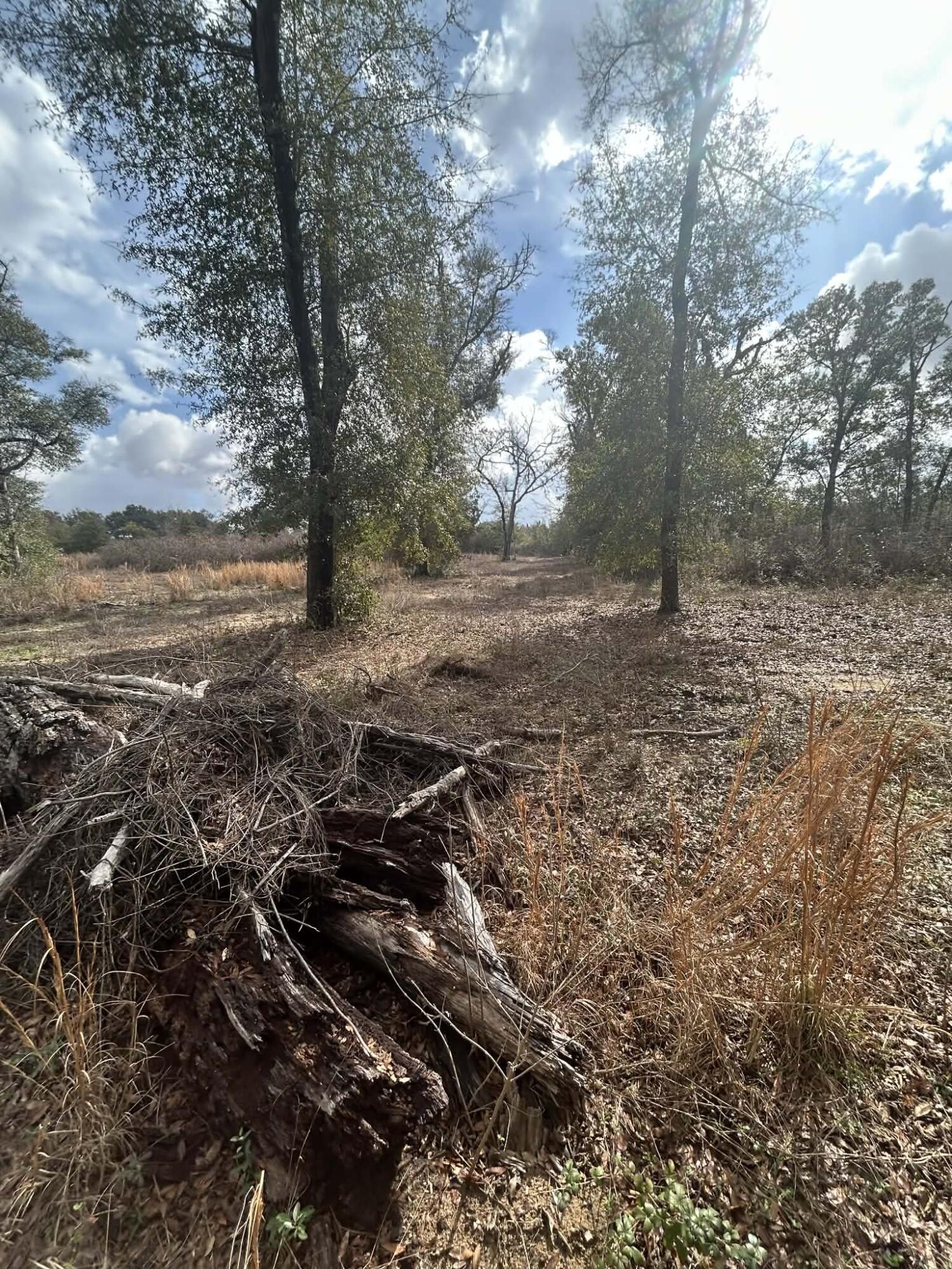 METES & BOUNDS - Land