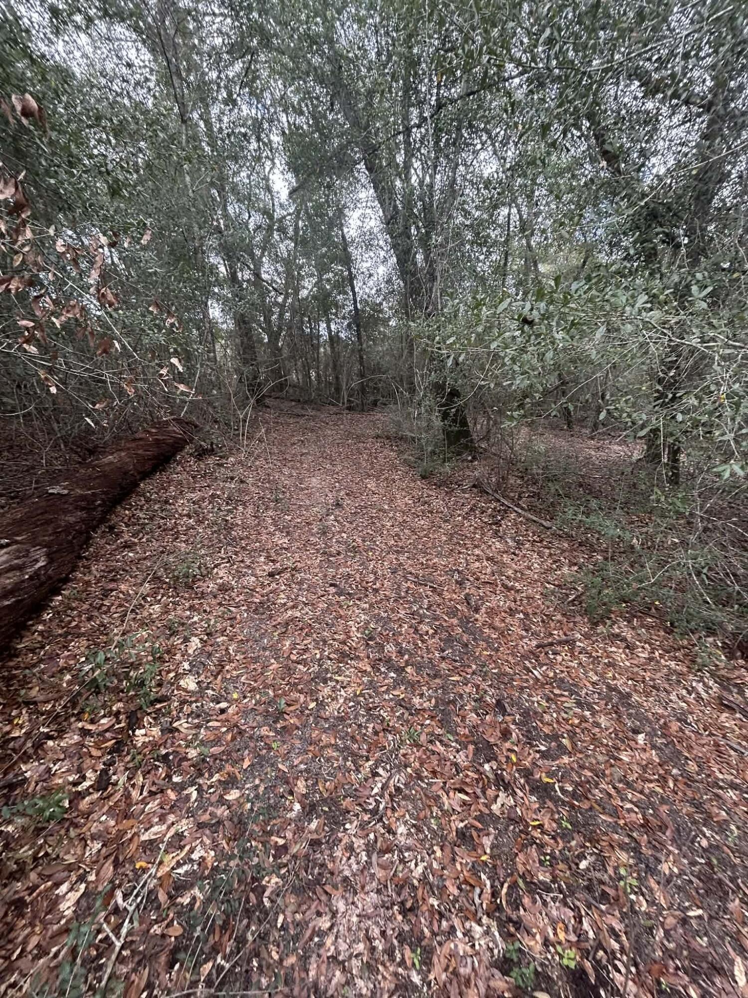 METES & BOUNDS - Land