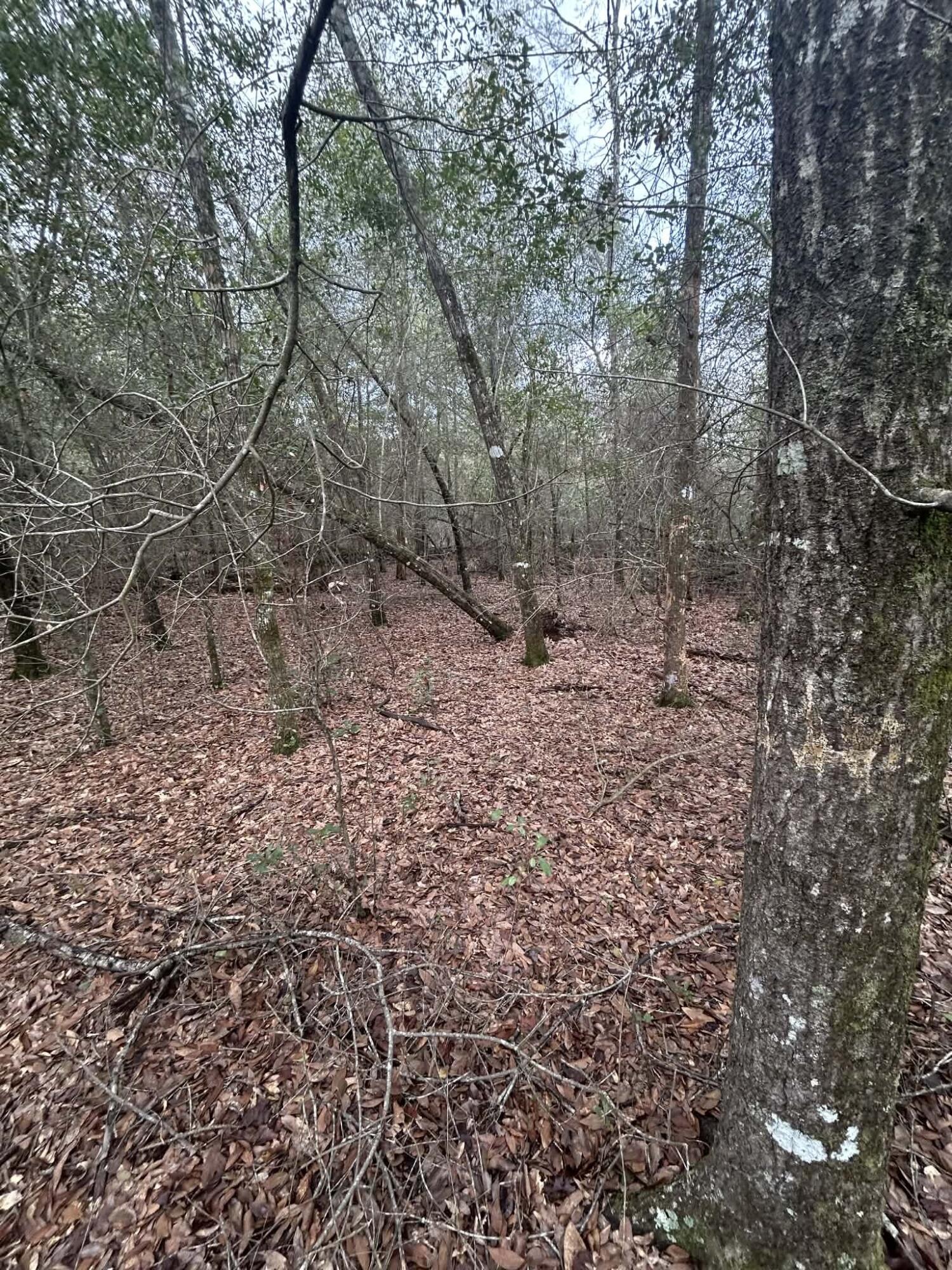 METES & BOUNDS - Land