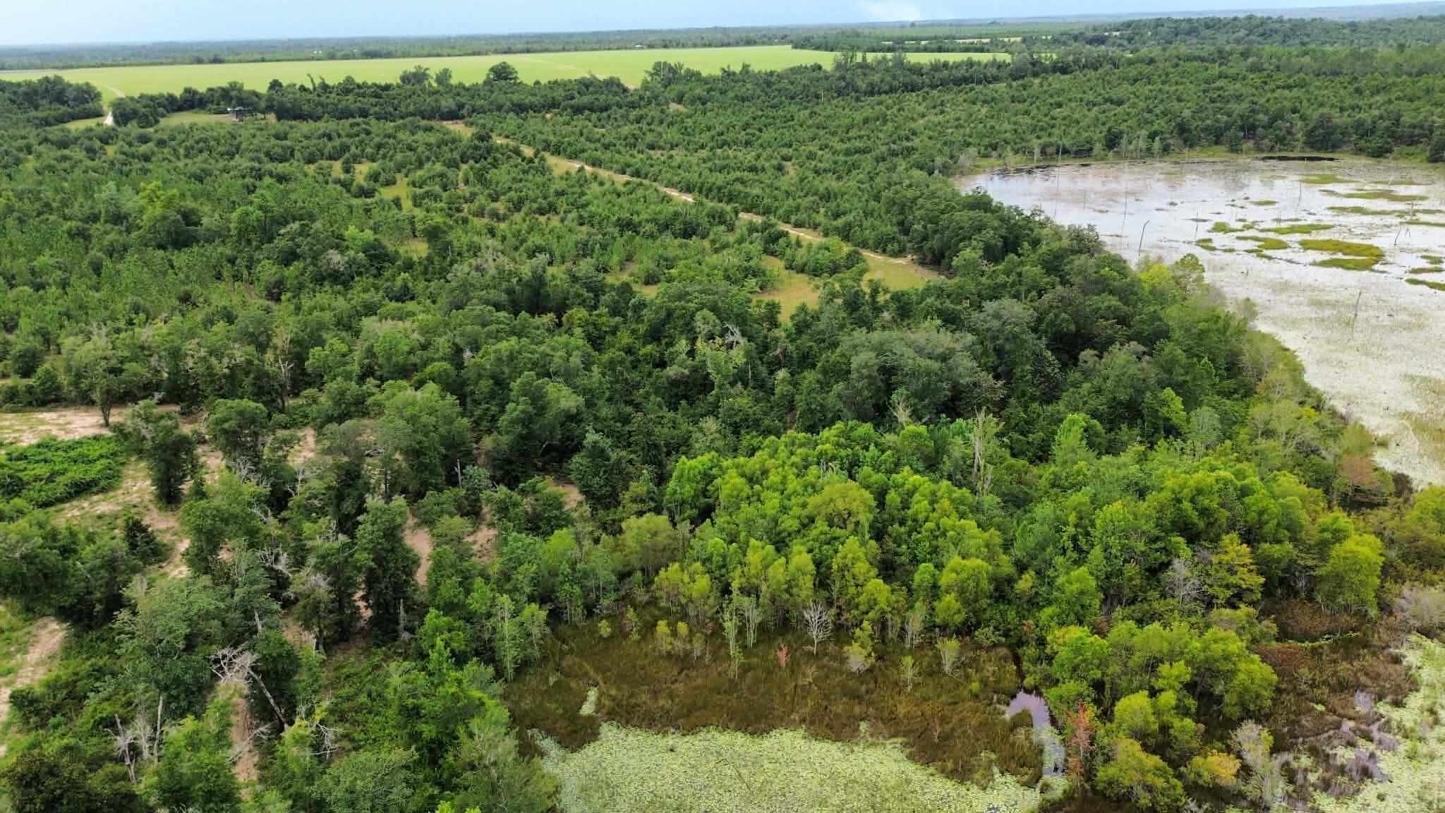 METES & BOUNDS - Land