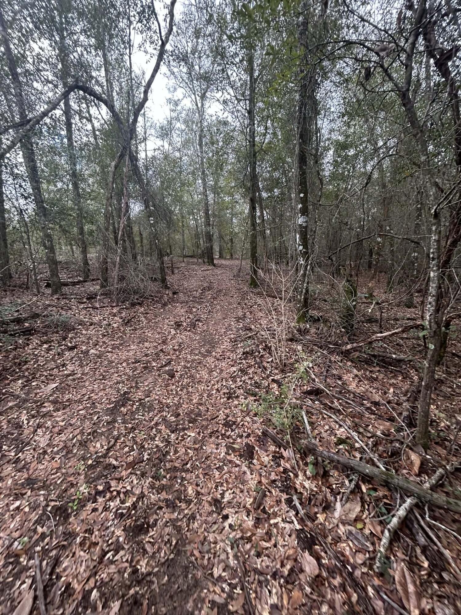 METES & BOUNDS - Land