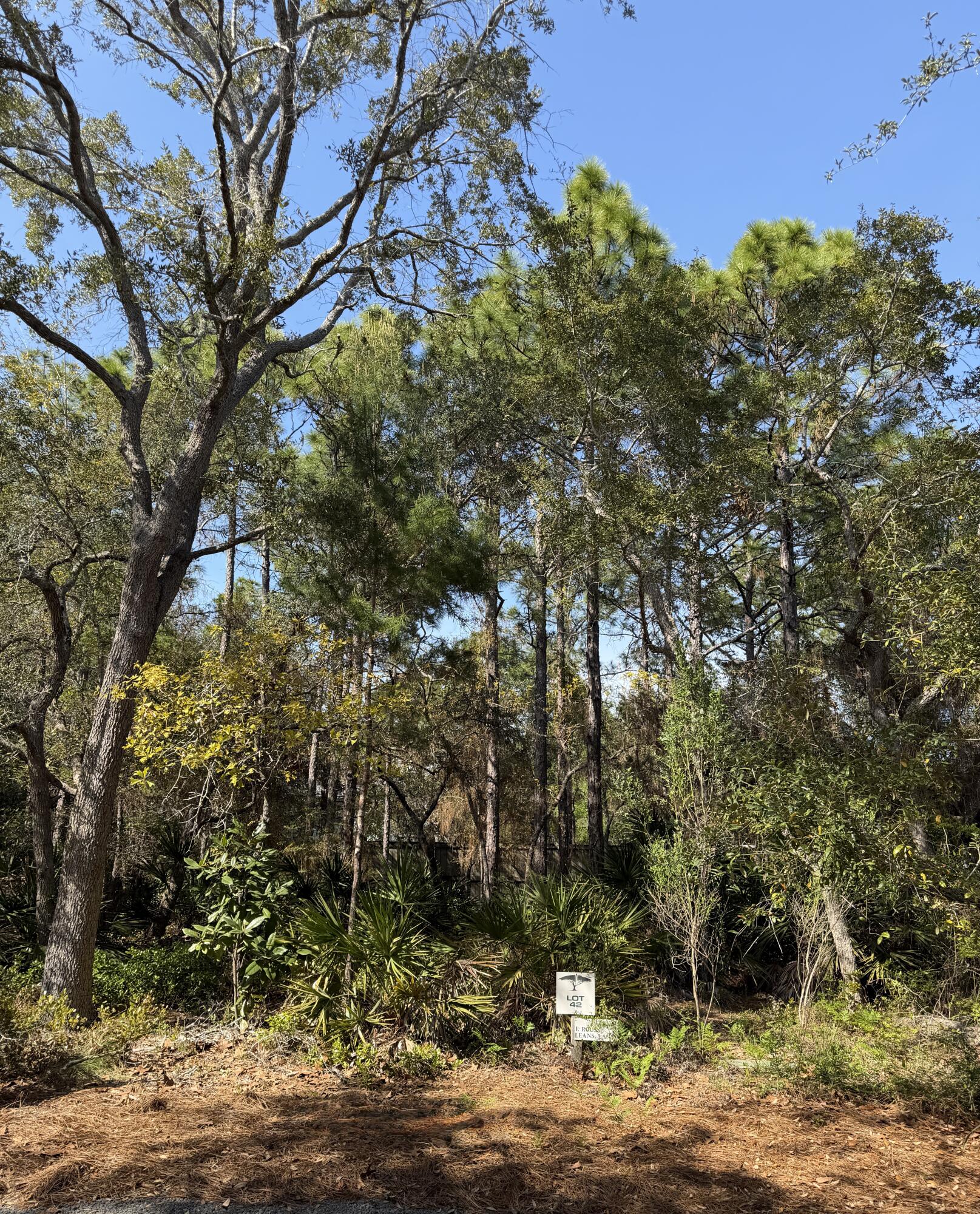 THE HAMMOCKS OF SEAGROVE - Land