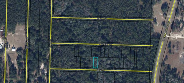LOTS 70/71 ELM STREET, VERNON, FL 32462 - Image b2940112e25ad053f70a0da9a7e2cd0d/2193701983