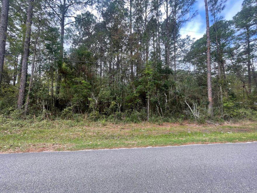 Great opportunity to own a wooded .42-acre homesite in the growing South Freeport area, just off Hwy 331. Tucked away with added privacy, this property backs up to FL DOT-owned land, offering a natural buffer and peaceful setting.
Ideally located just minutes from the bay, nearby beaches, and all the exciting new growth happening in Freeport, this parcel is perfectly positioned for a future homesite or long-term investment. Whether you're looking to build your primary residence, a second home, or secure land in a rapidly developing area, this property checks all the boxes.
Adjacent mobile home property is also available for purchase, creating a unique opportunity for expansion, rental income, or a multi-property investment.
Buyer to verify all information, including land use, zoning, dimensions and suitability for intended use.
The land is wooded, not cleared and no improvements have been made with respect to utilities.