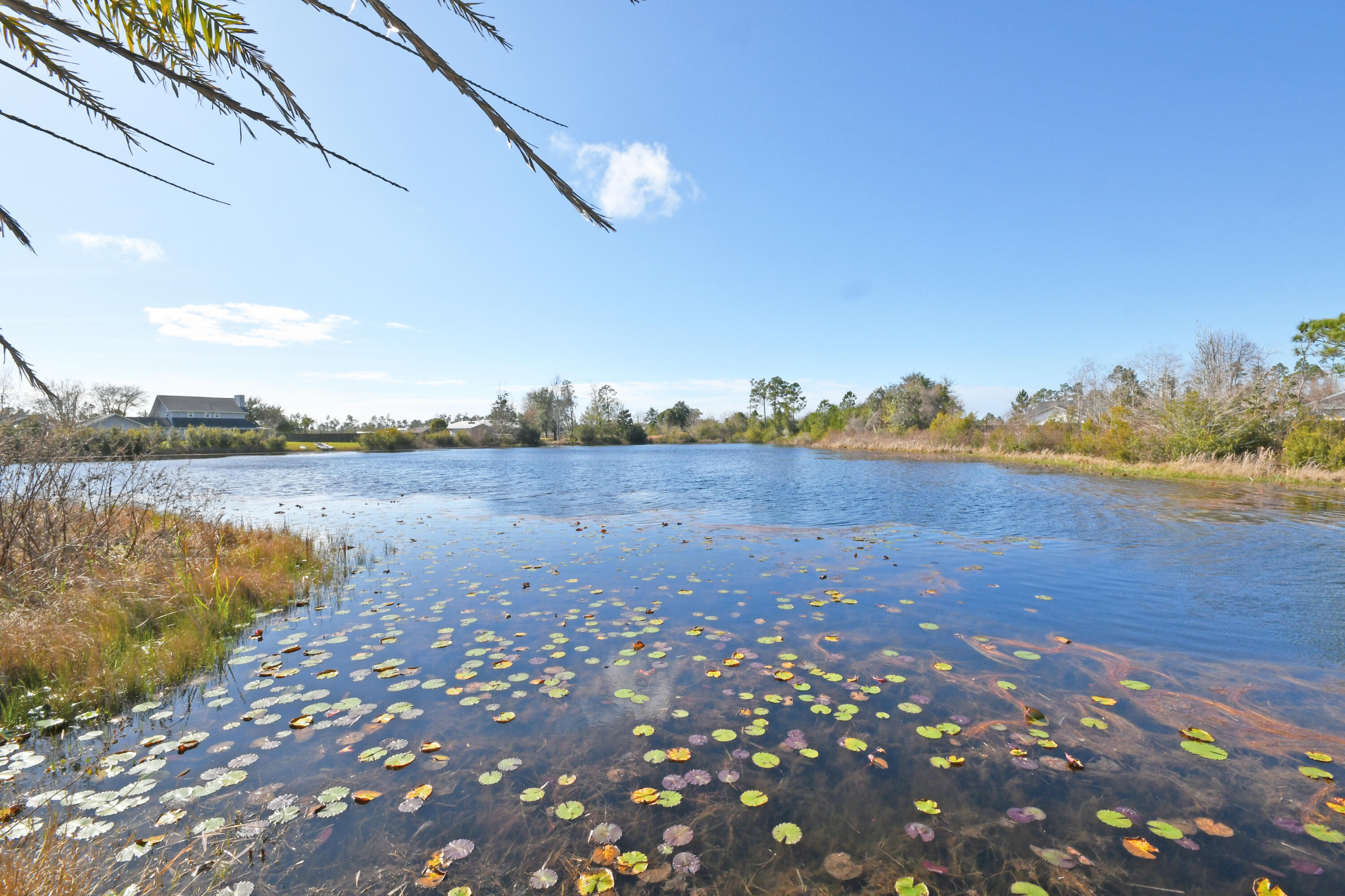 sandy creek and country club phase I - Residential