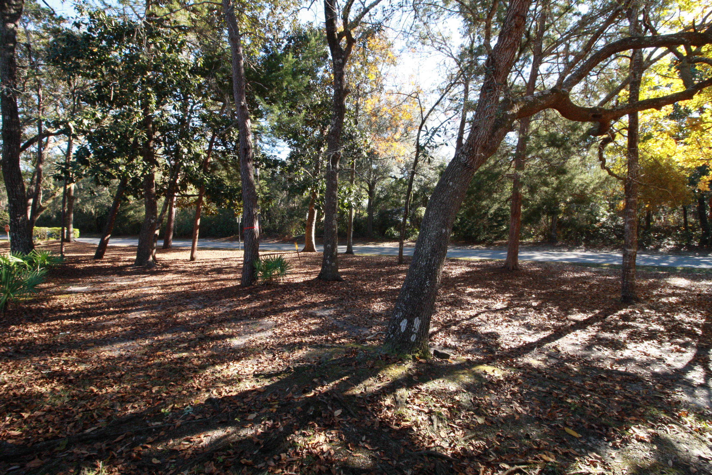 Bluewater Bay, Royal Oak Village - Residential