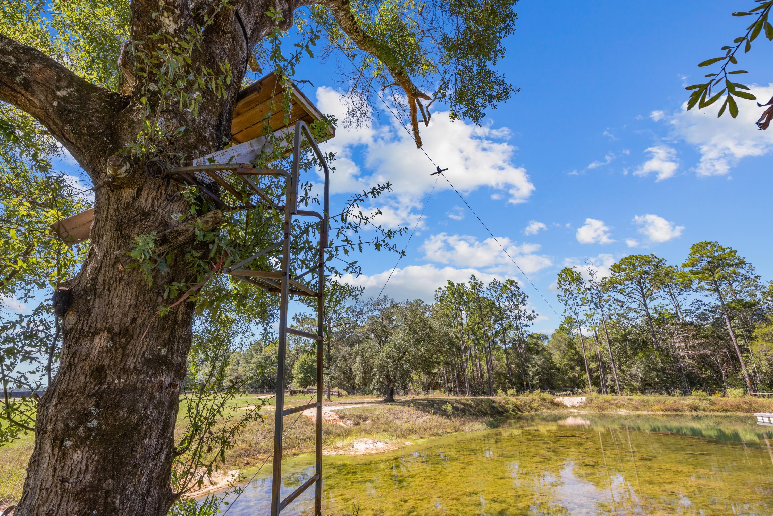 Meets & Bounds - Residential