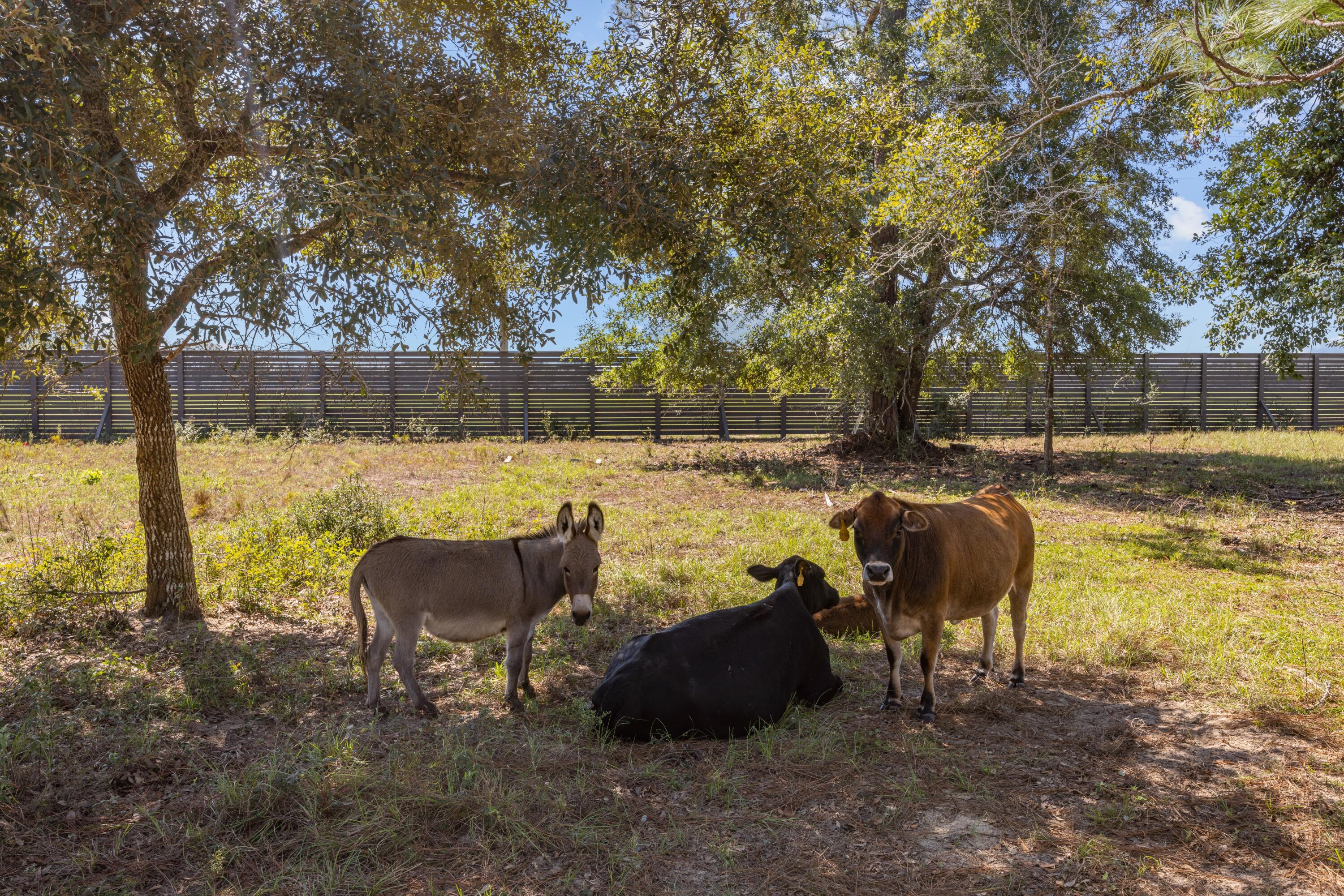 Meets & Bounds - Residential