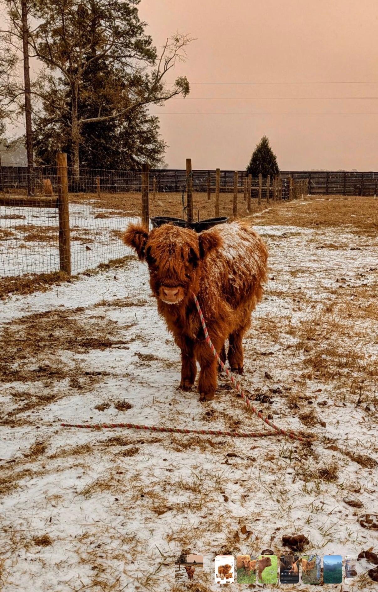 Meets & Bounds - Residential