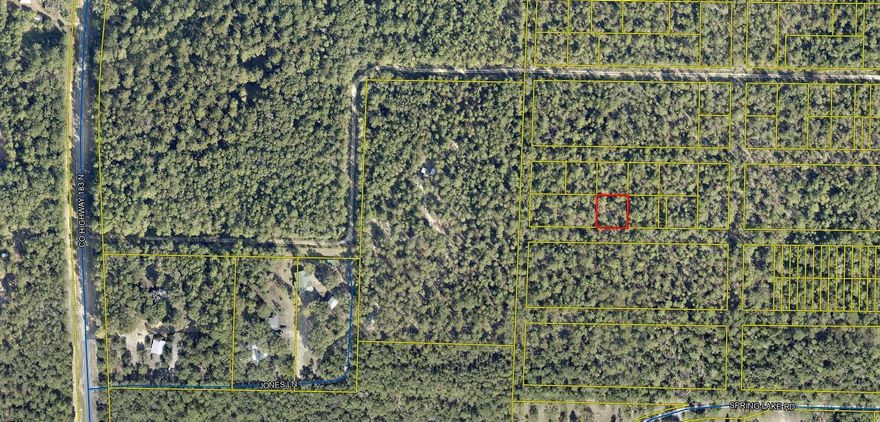 Potential investment opportunity! Approx. 1/4 acre lot, with potential for future development. Located in the Spring Lake (Argyle) area of North Walton County. No utilities, no survey, and no known deed access.