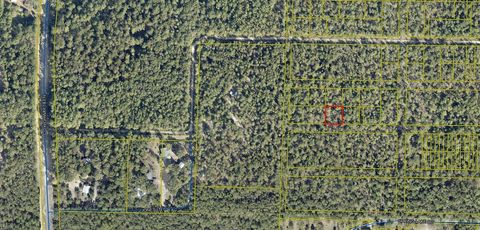 TBD No Named Road DeFuniak Springs FL 32433