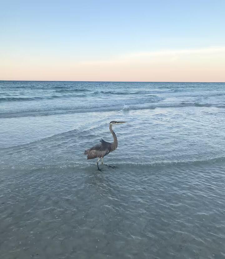 SURF DWELLER CONDO - Residential