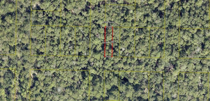 Investment property! Small lot in an undeveloped subdivision off of Williams Road. Potential for future investment opportunities. No known deeded access, utilities, or survey for the property.