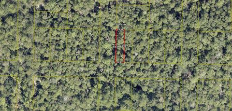 TBD No Named Road DeFuniak Springs FL 32433