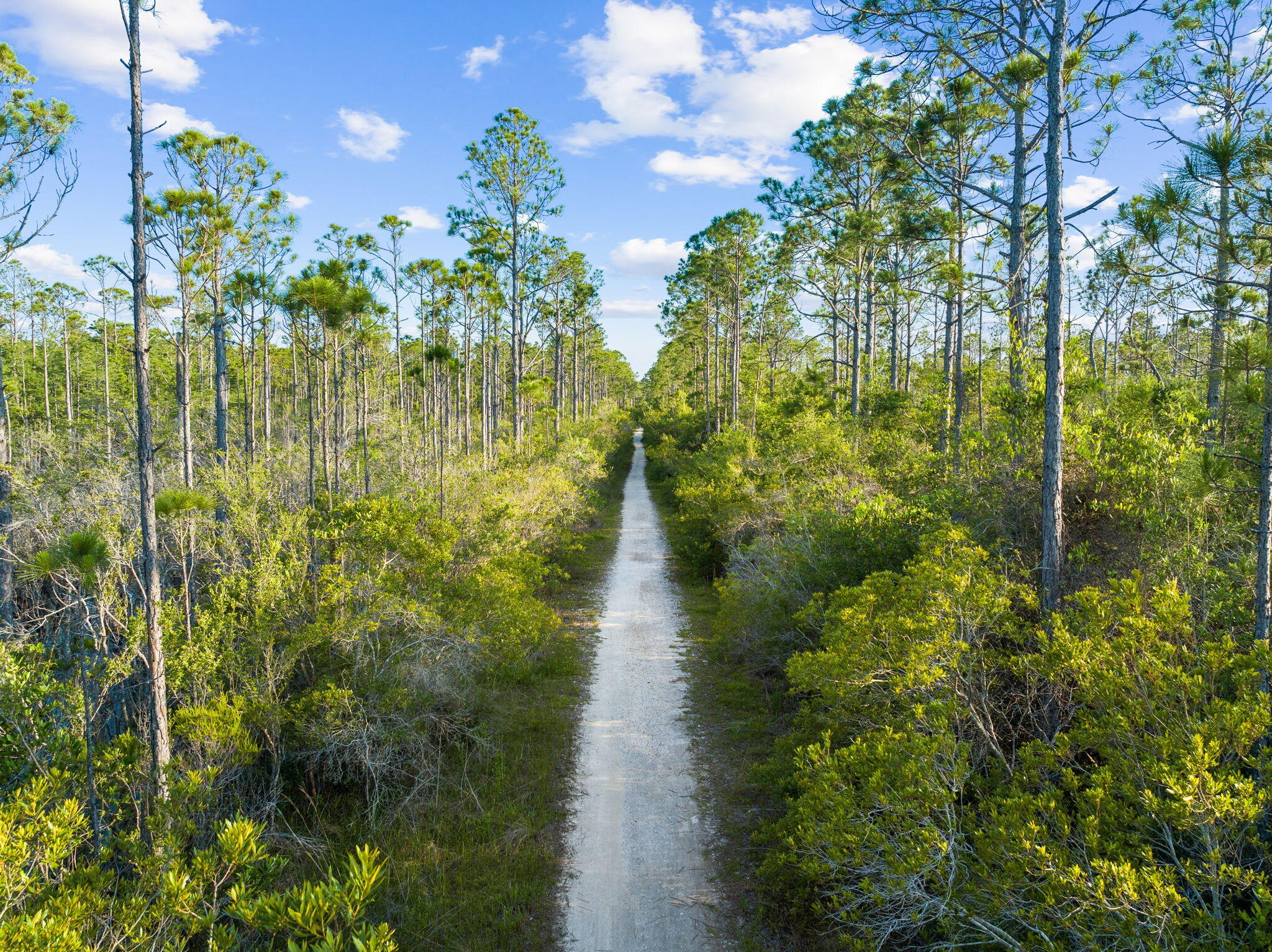NATUREWALK AT SEAGROVE - Residential