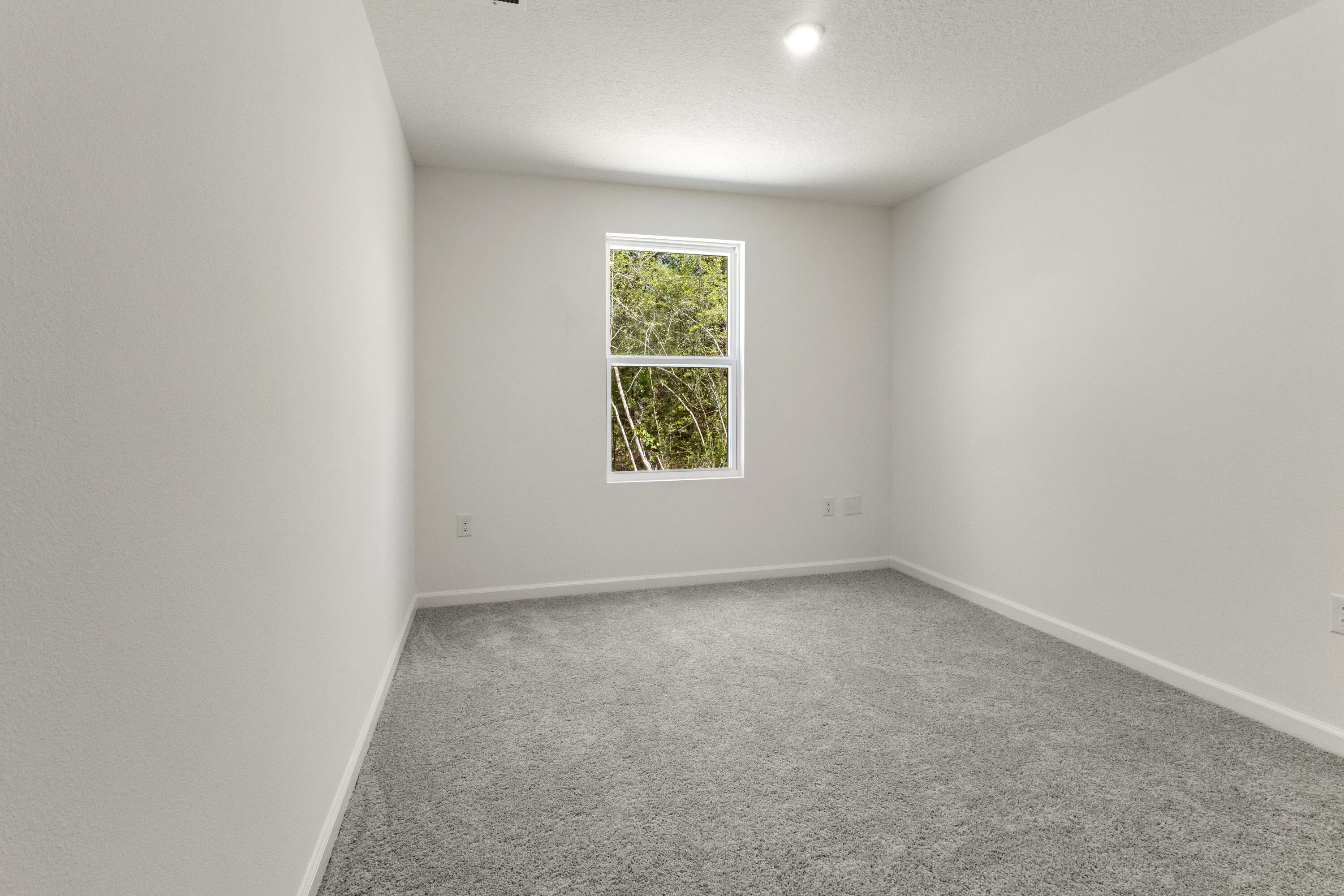 Mossy Head - Residential