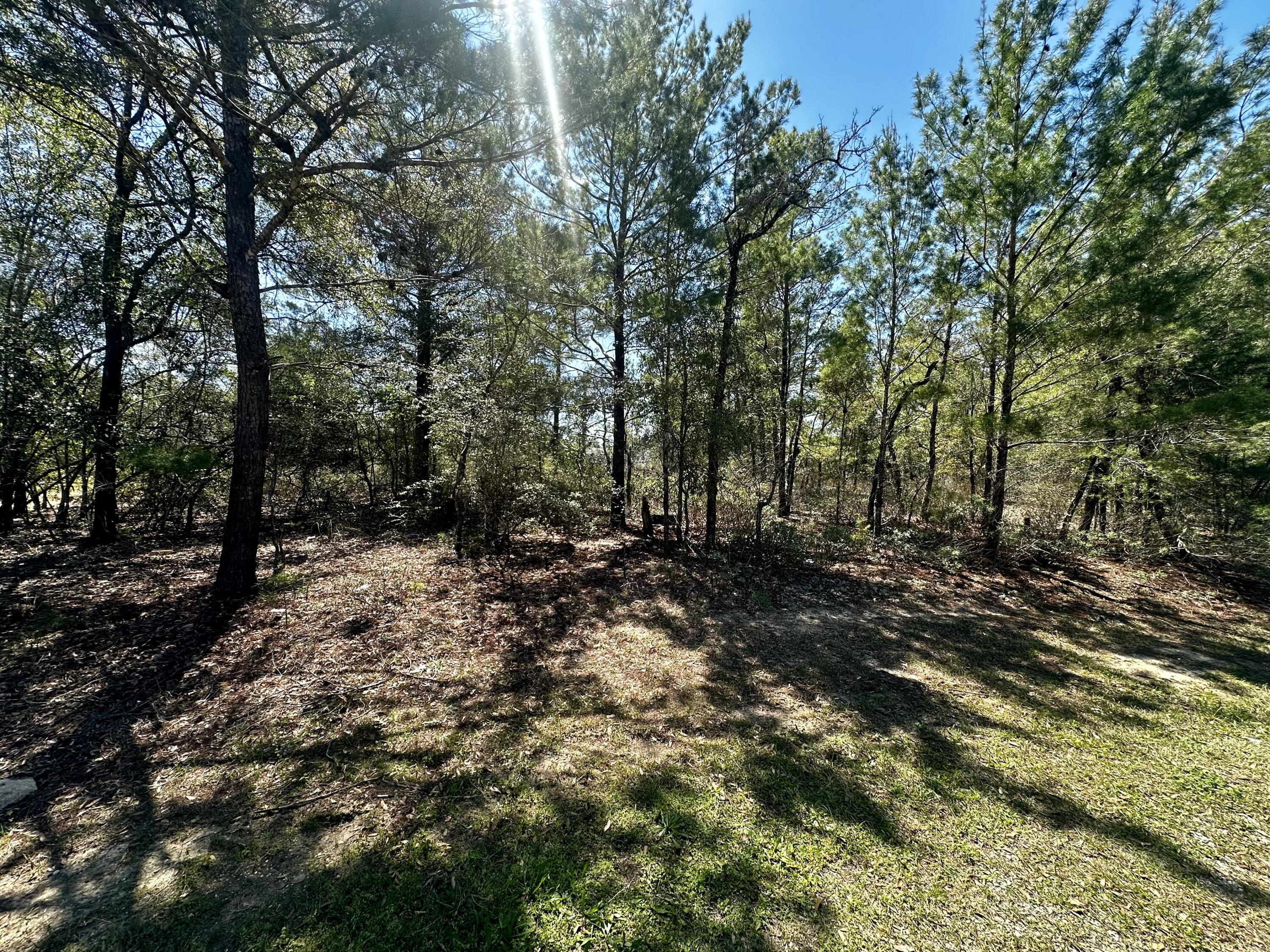 OAKWOOD HILLS UNIT 1 - Land