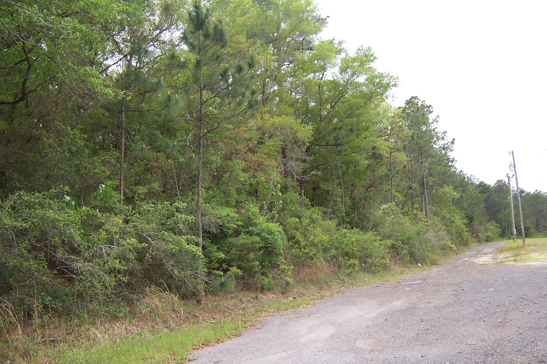 7AC Pine Forest Road