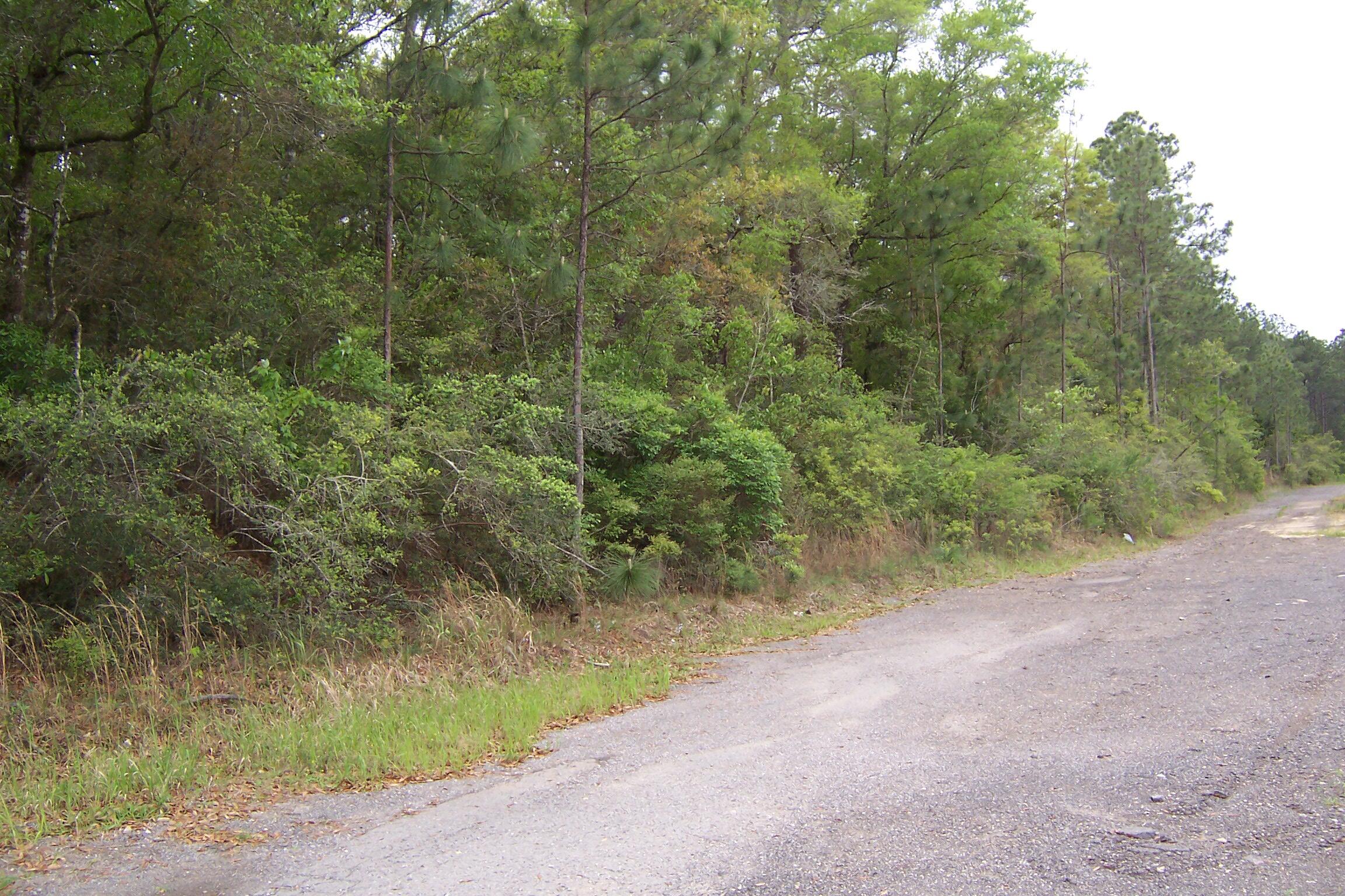 7AC Pine Forest Road